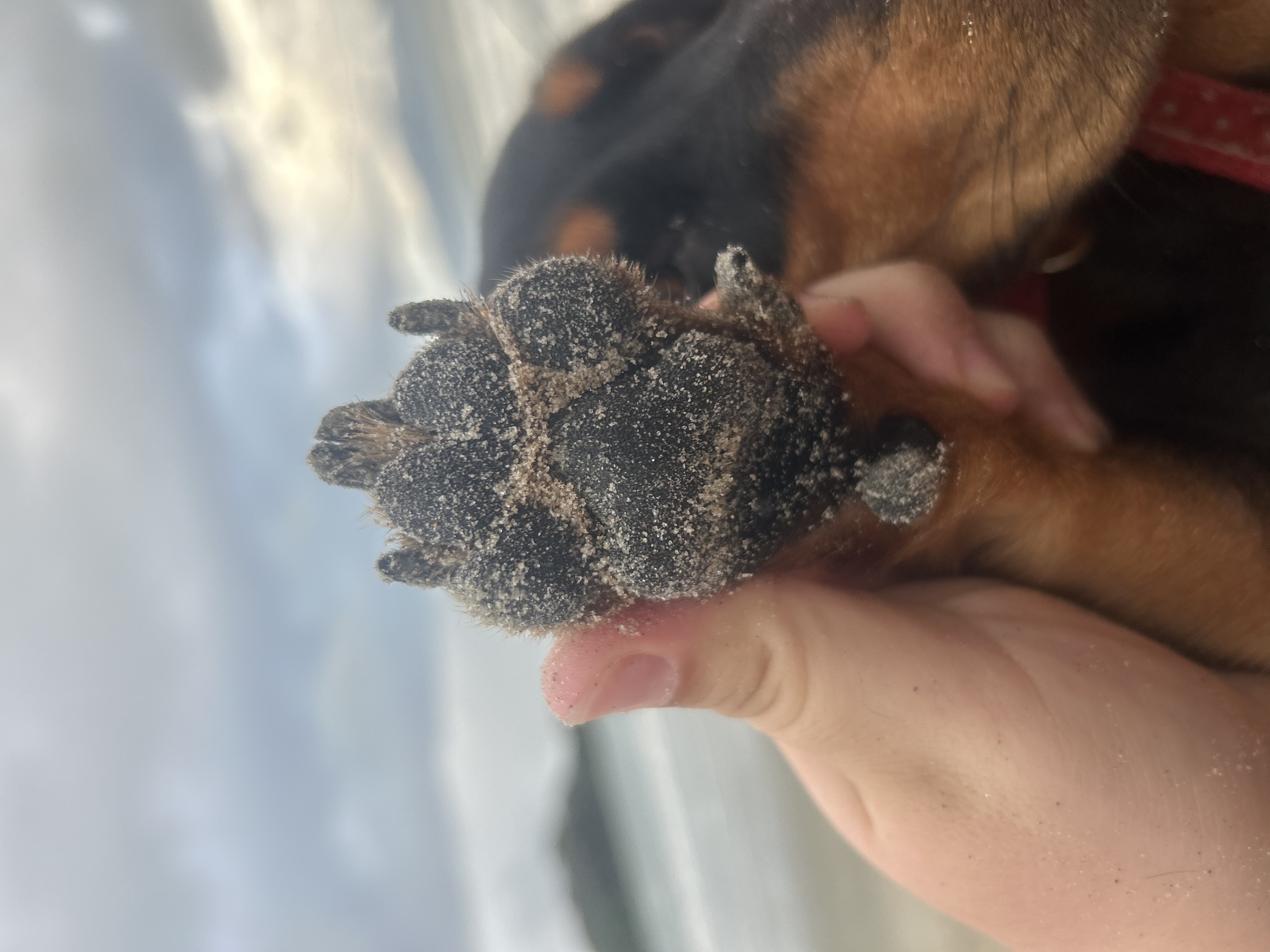 image-4