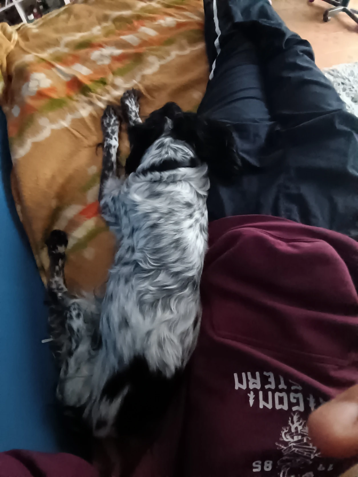 image-12