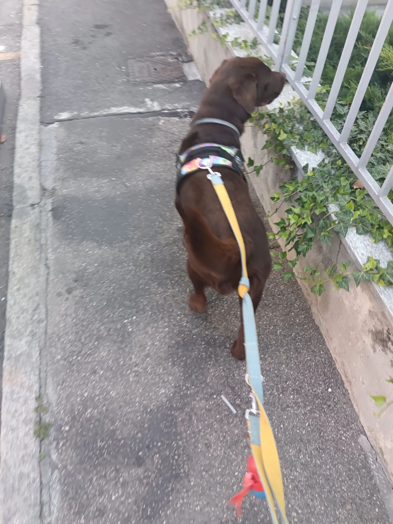 image-8