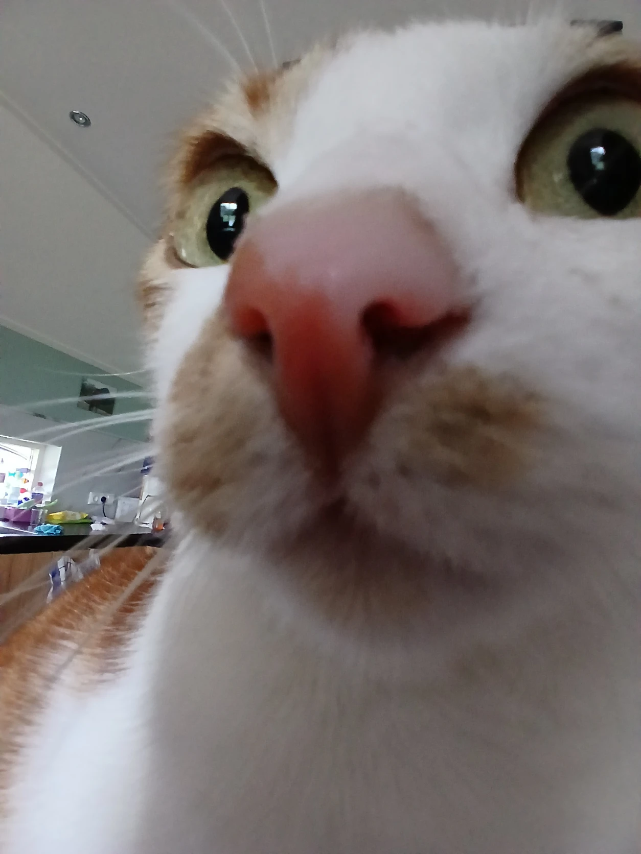 image-6