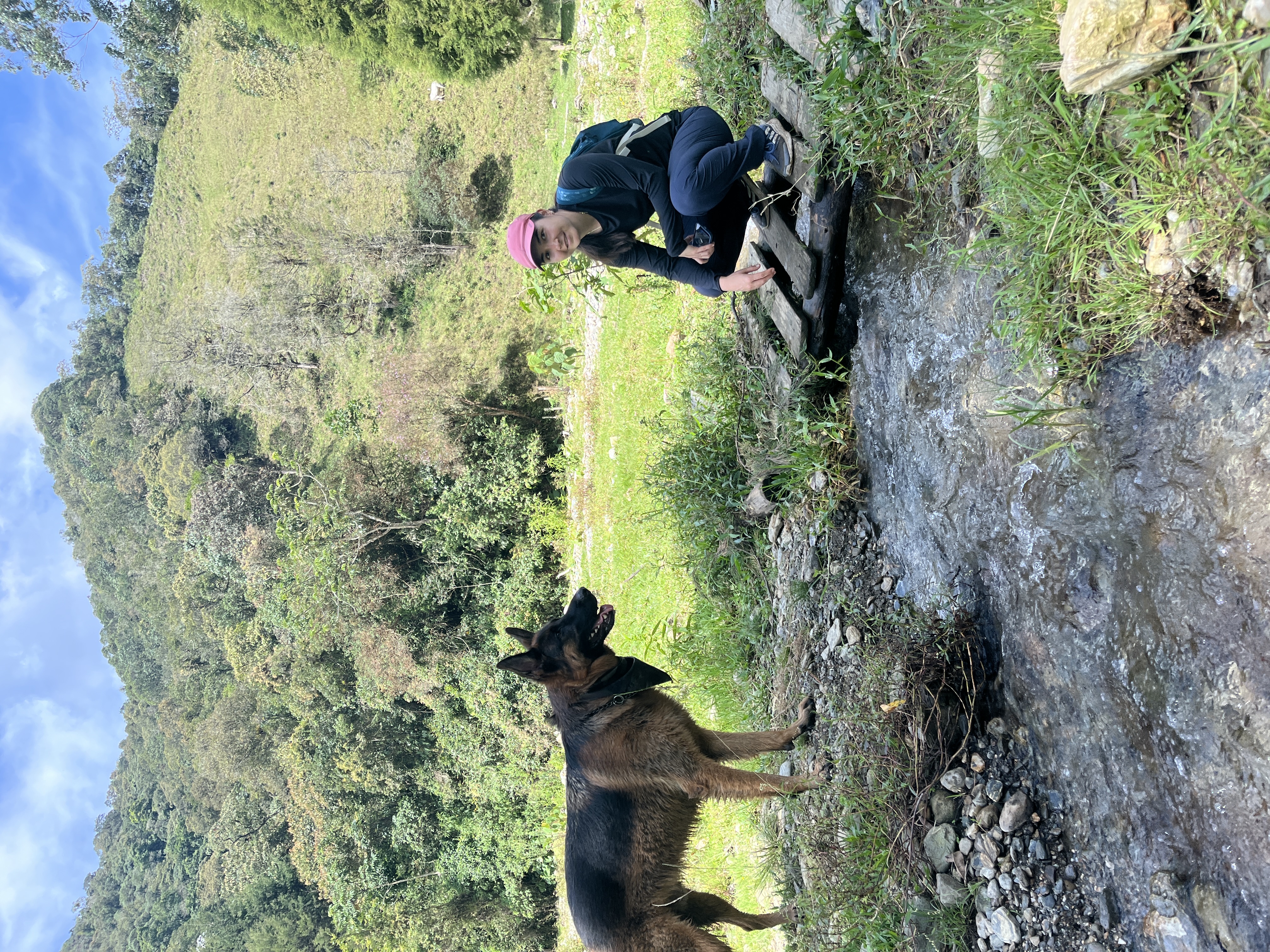 image-7