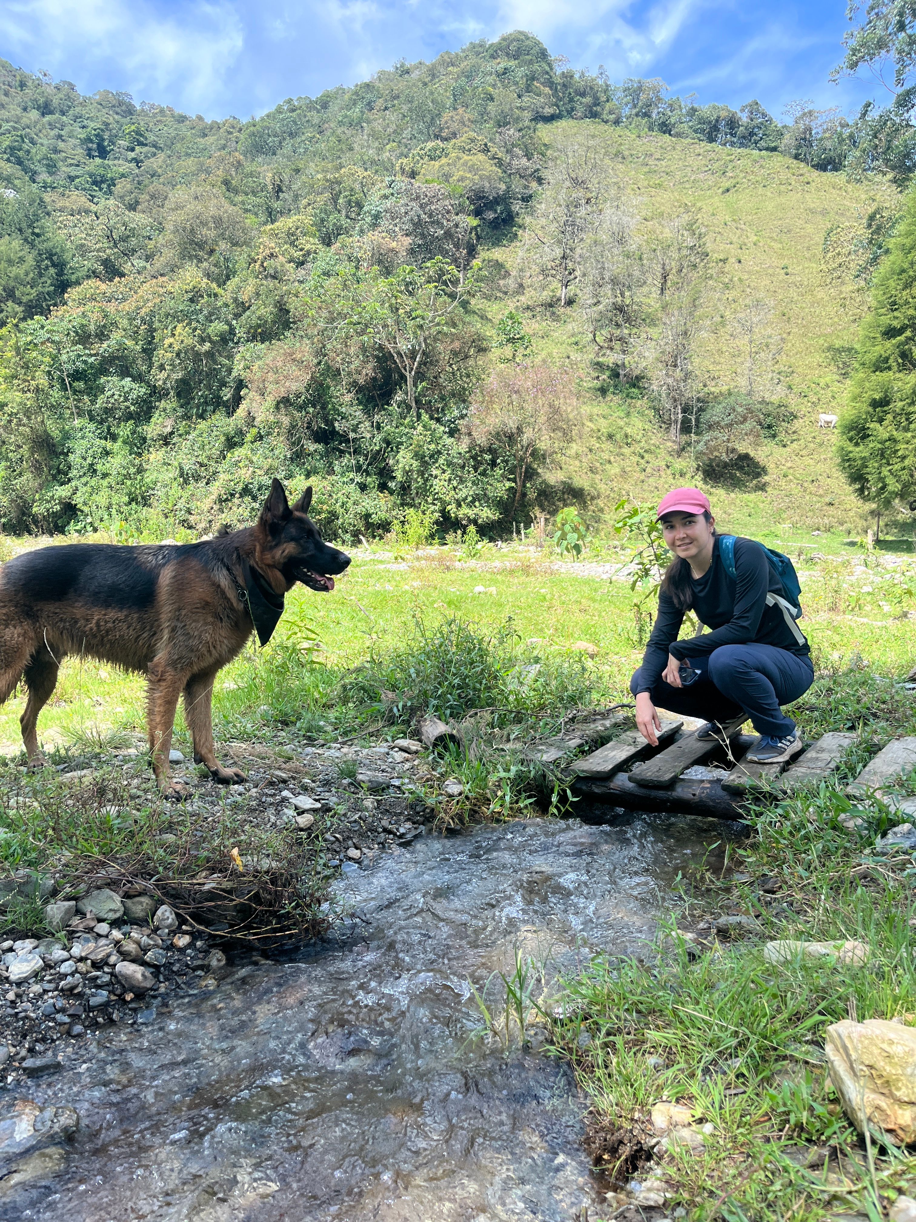 image-7