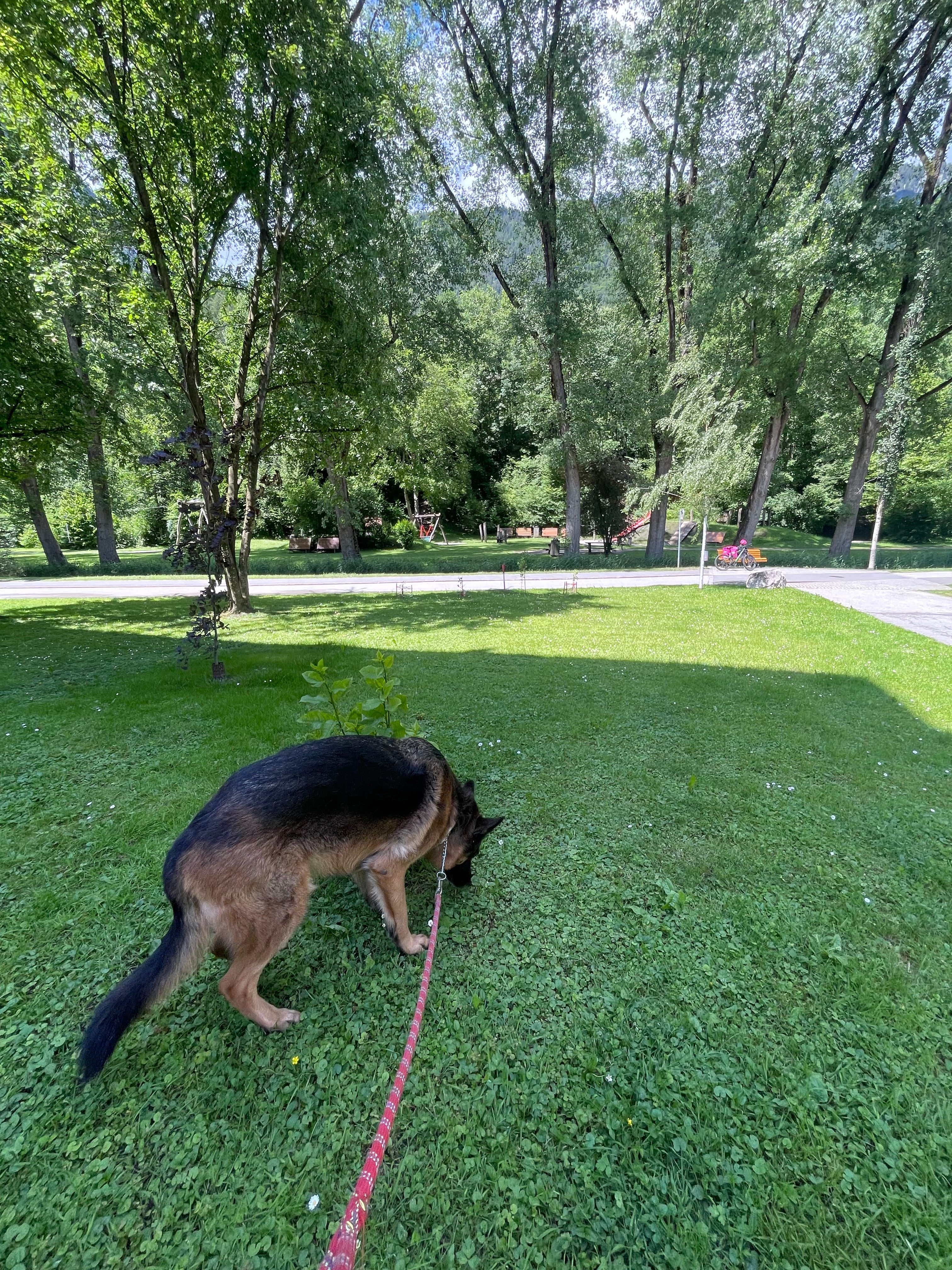 image-12