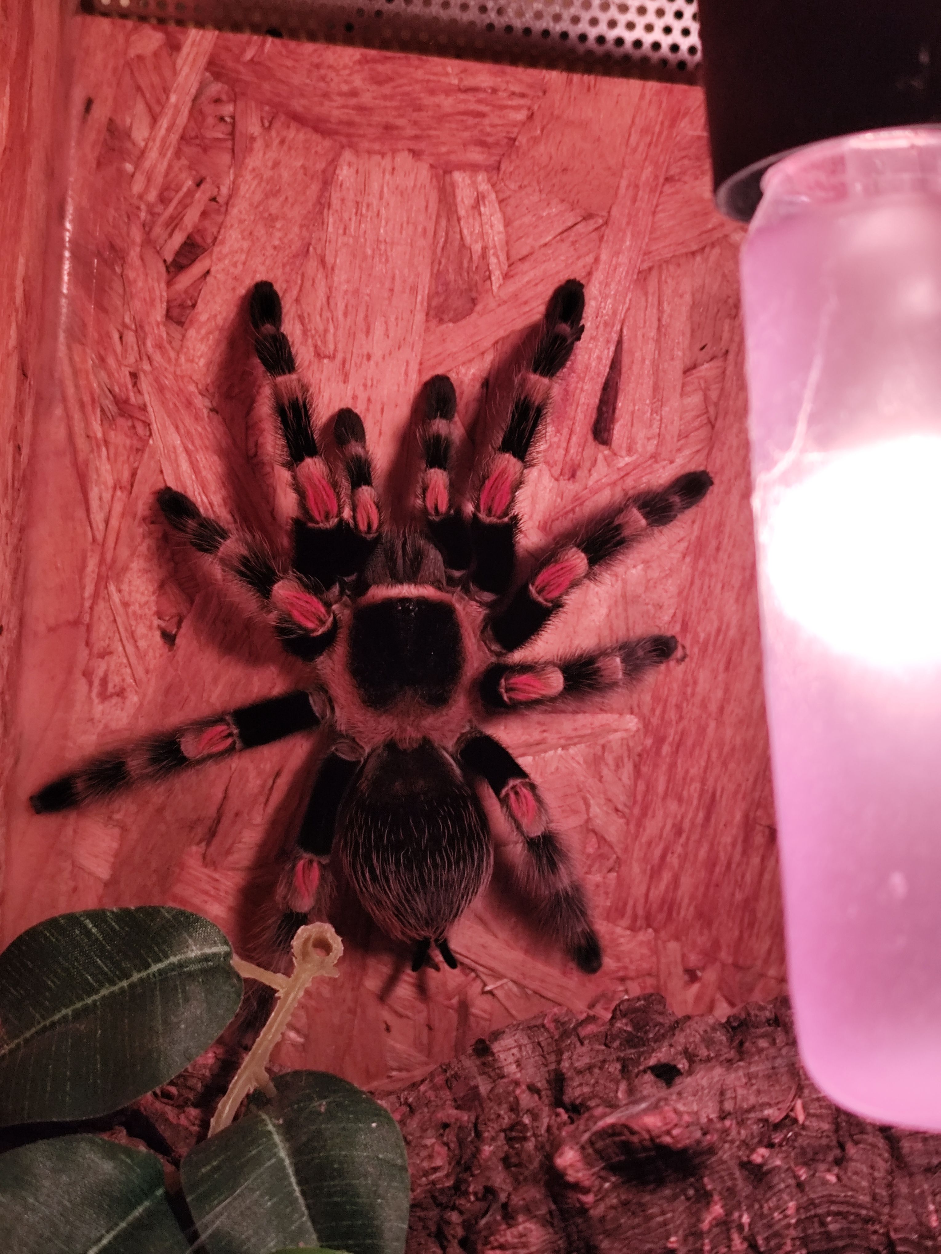 image-9
