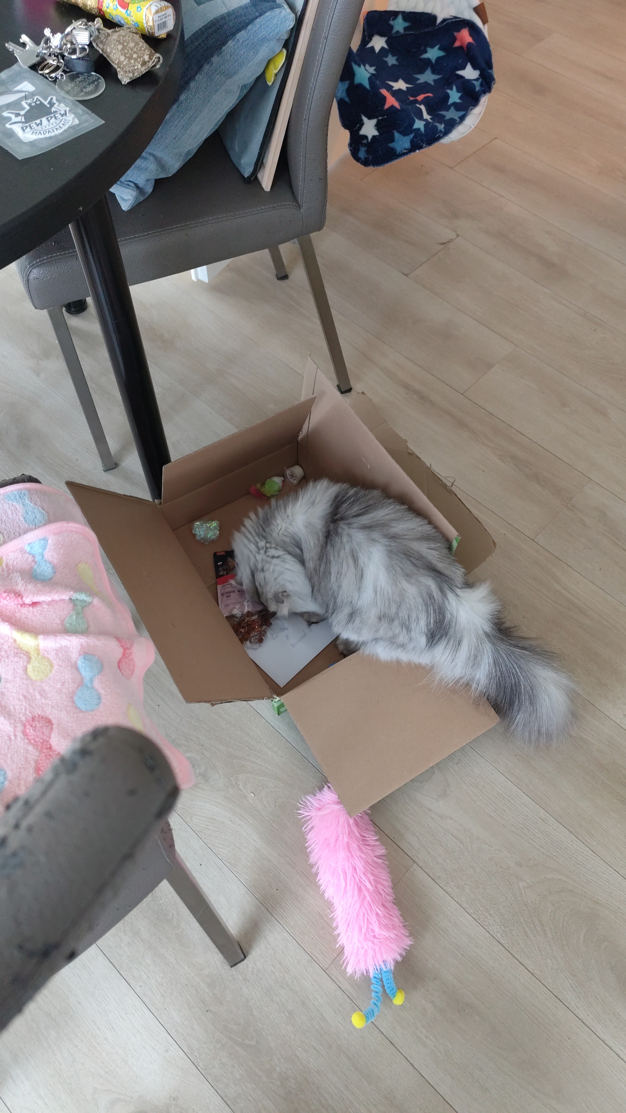 image-8