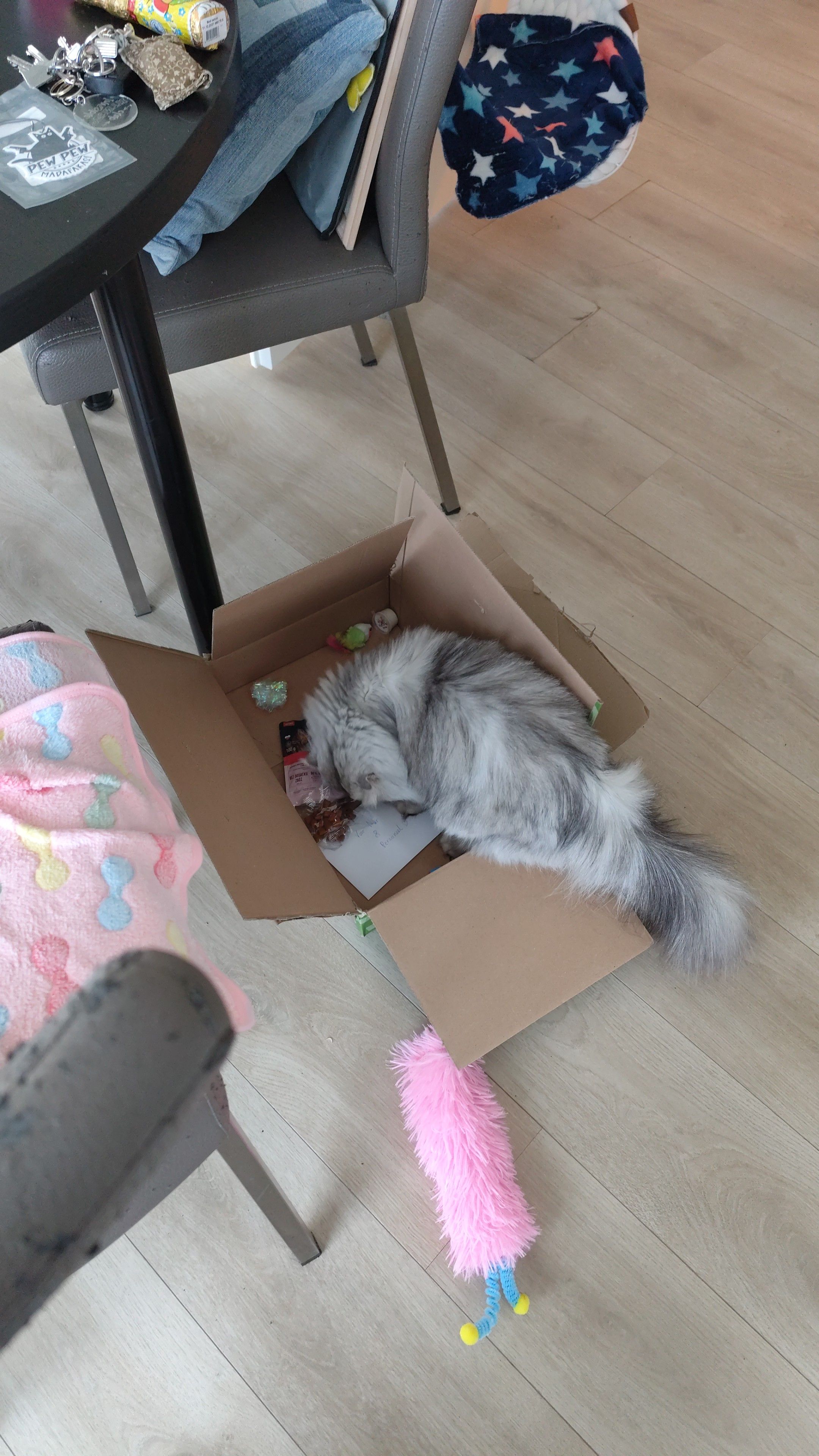 image-8