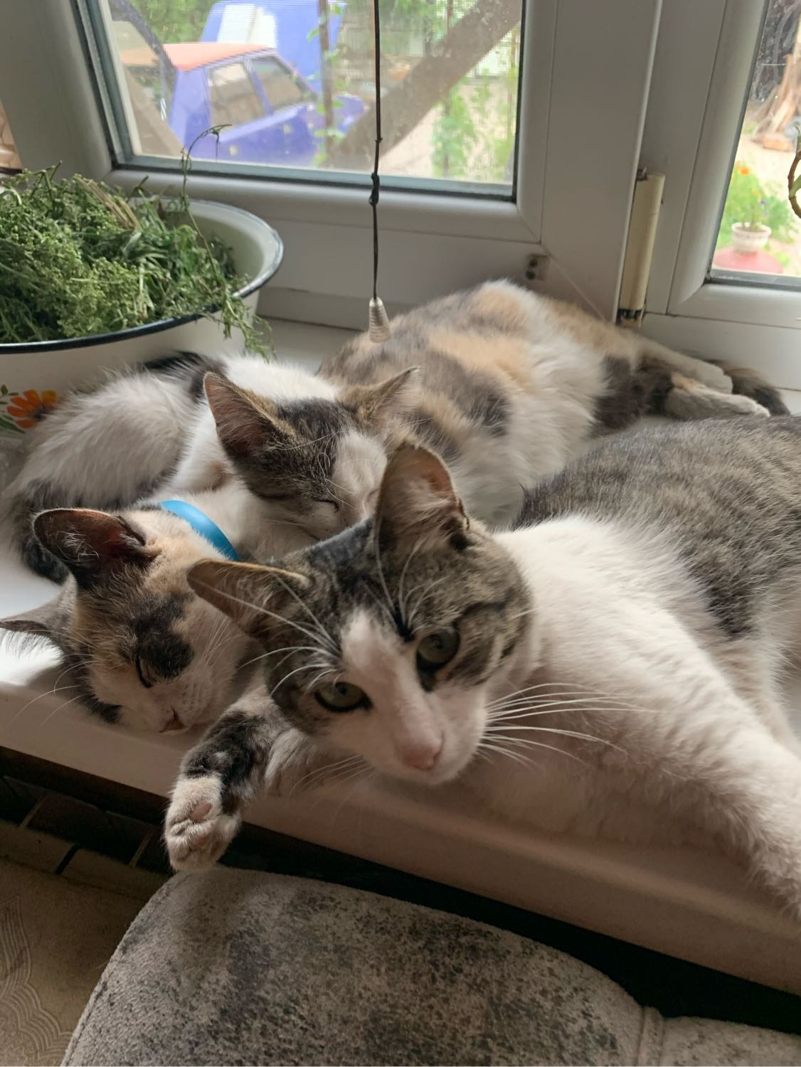 image-4