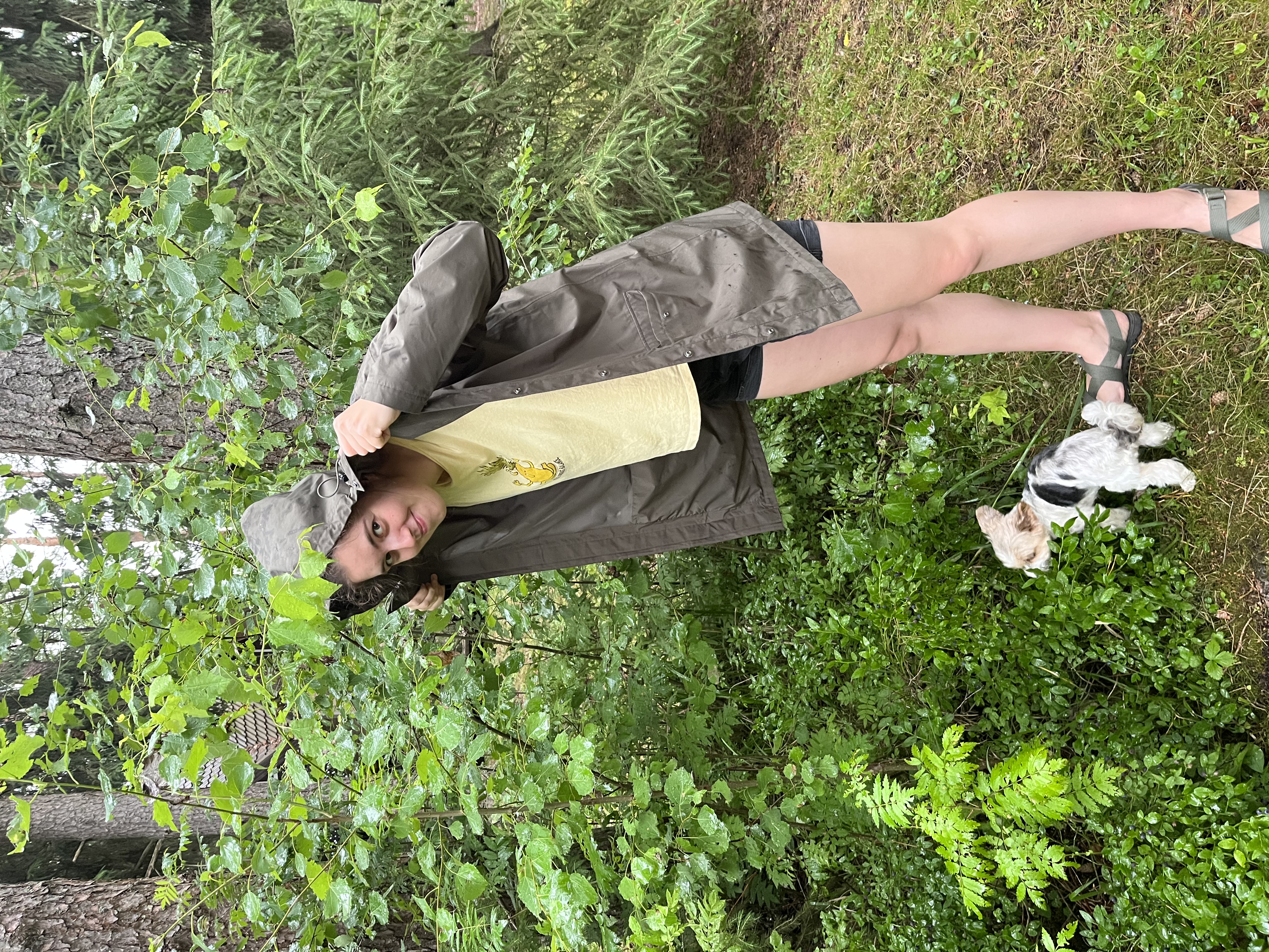 image-2