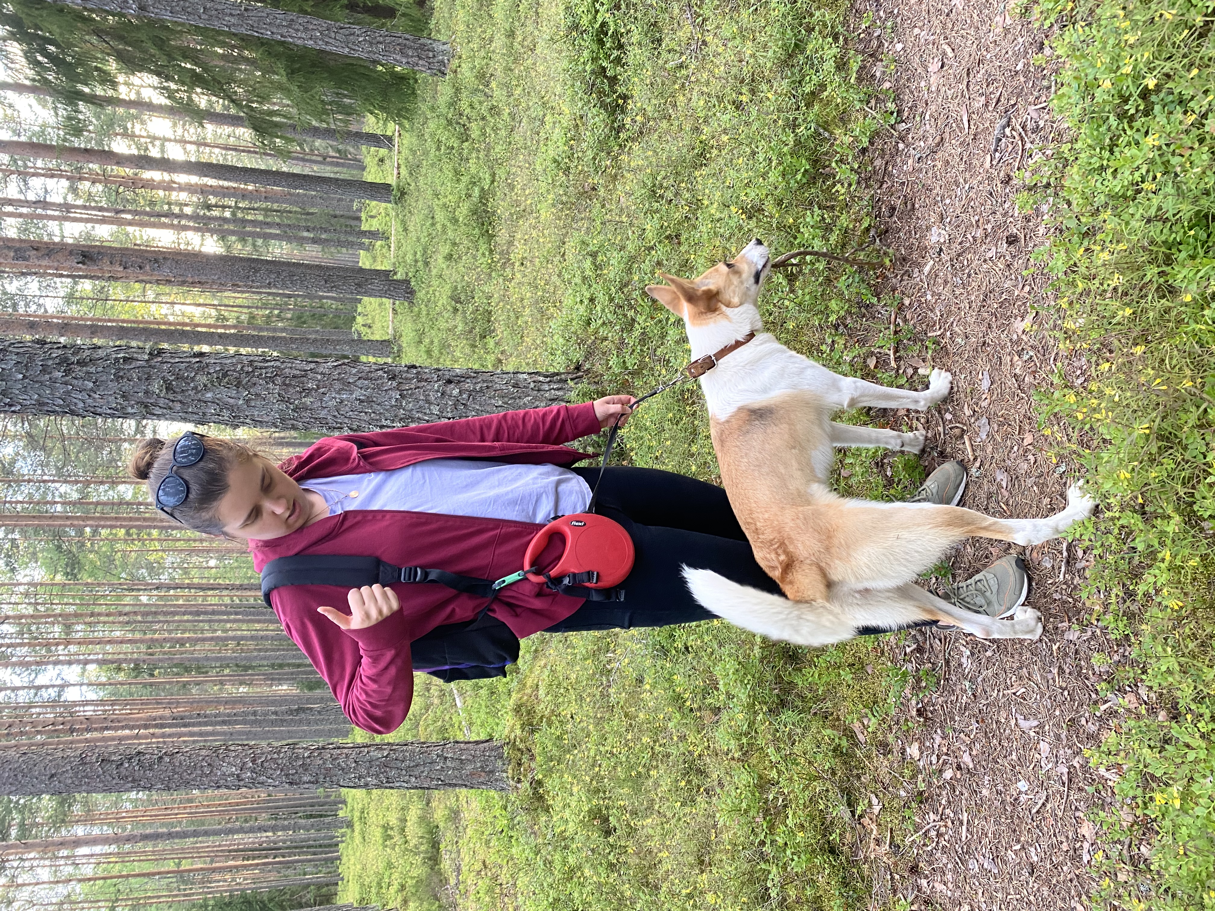 image-1