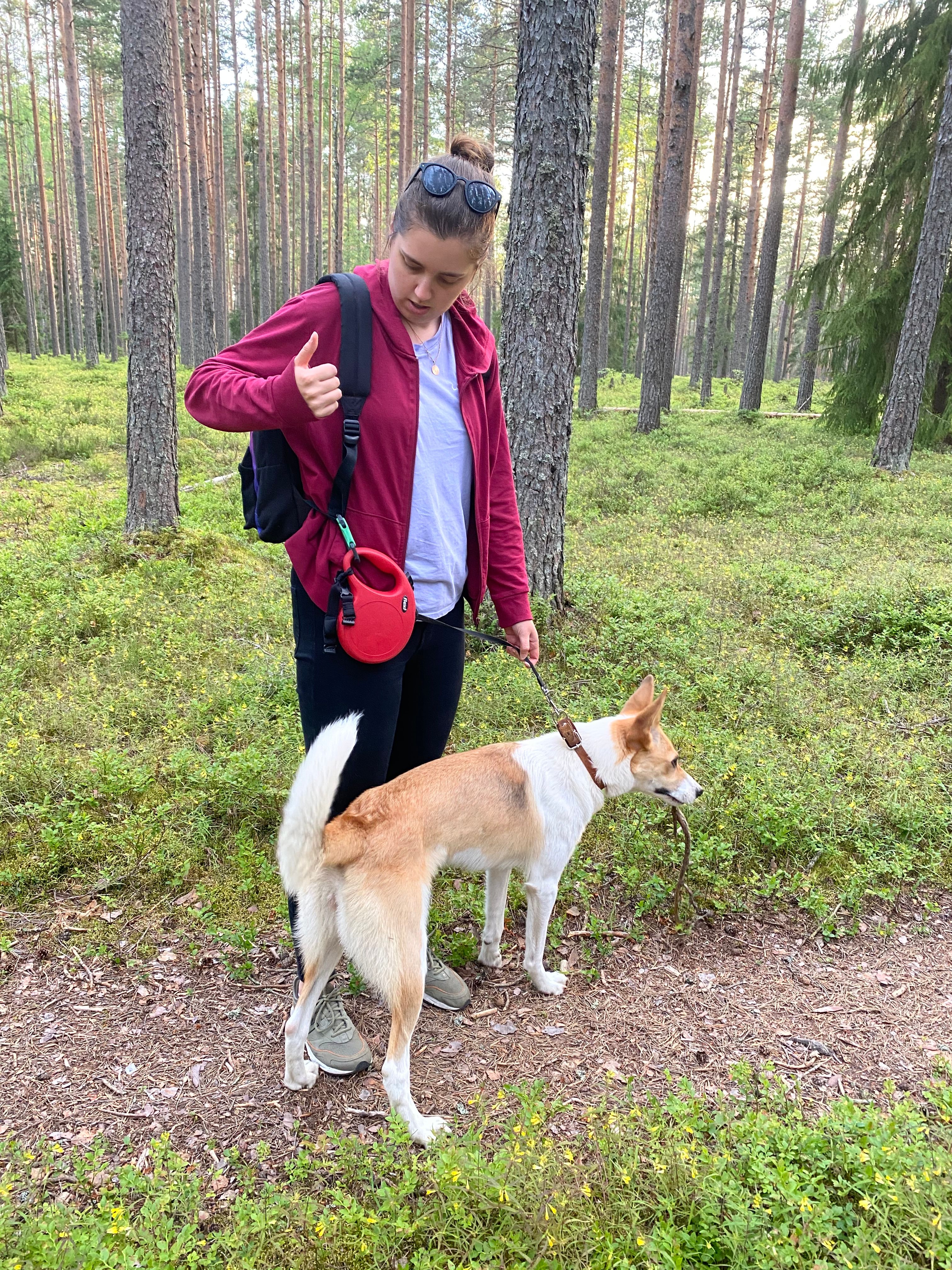 image-1