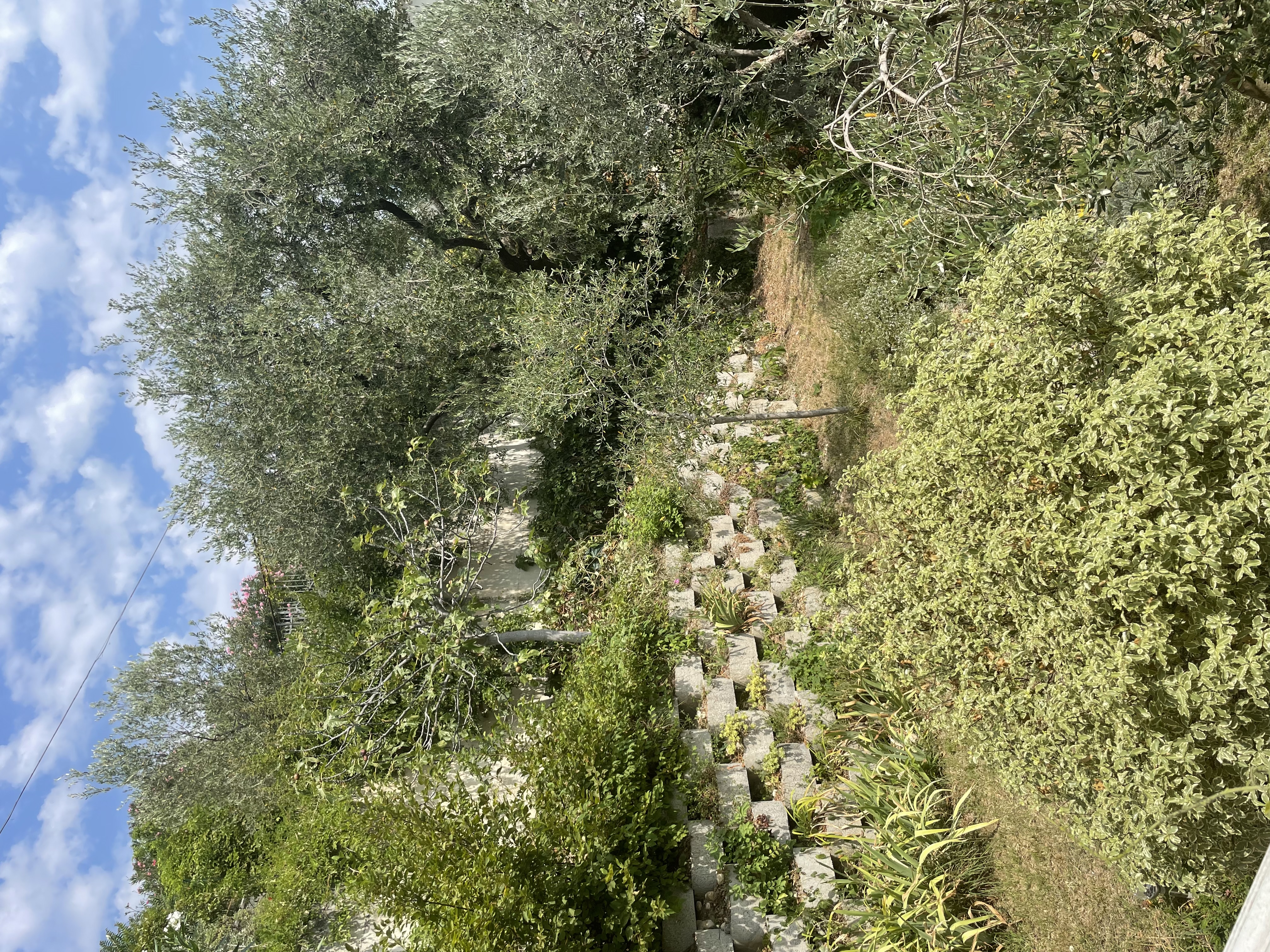 image-16