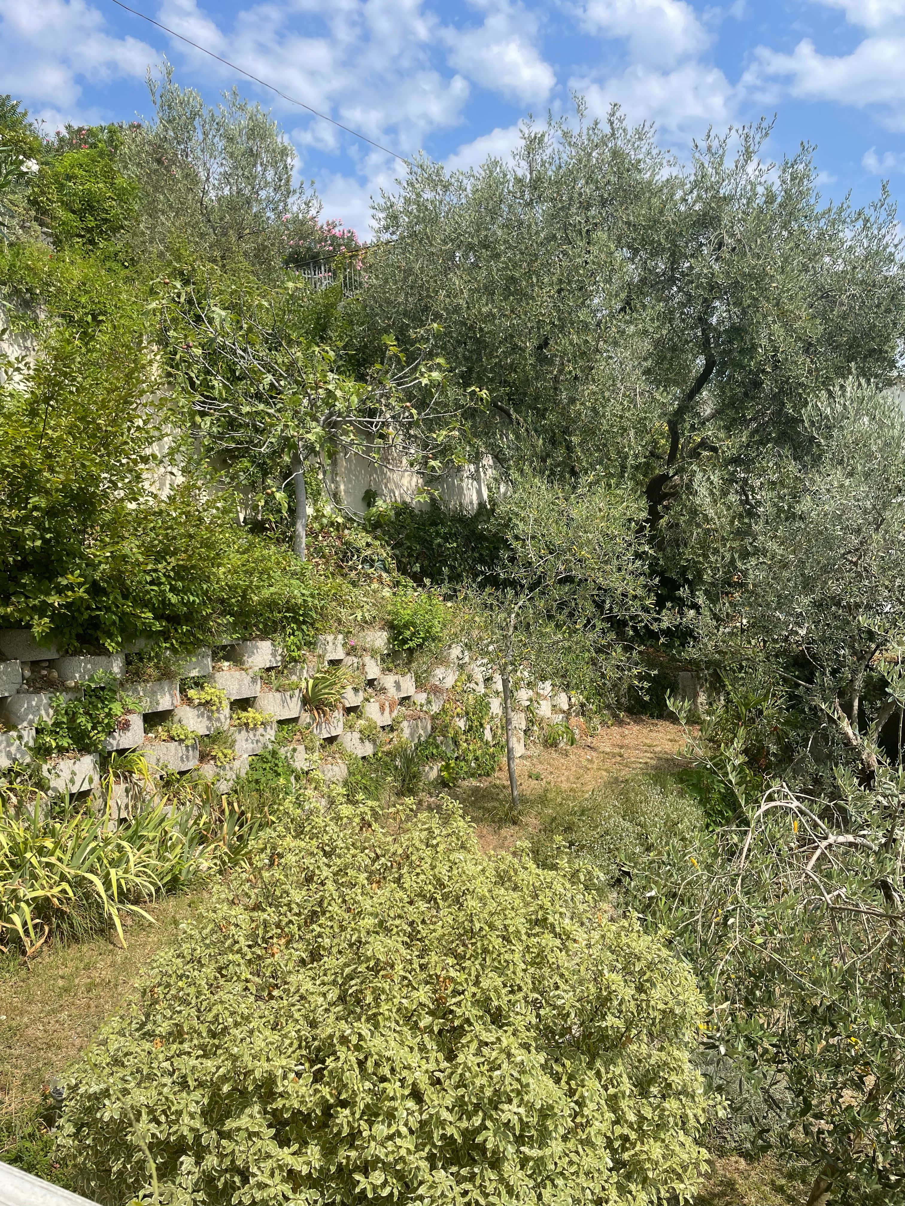 image-16