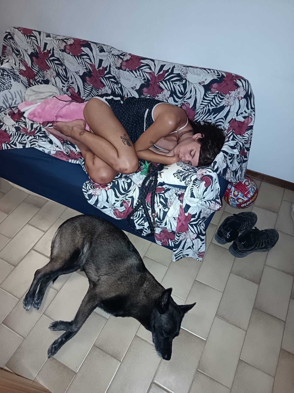 image-14