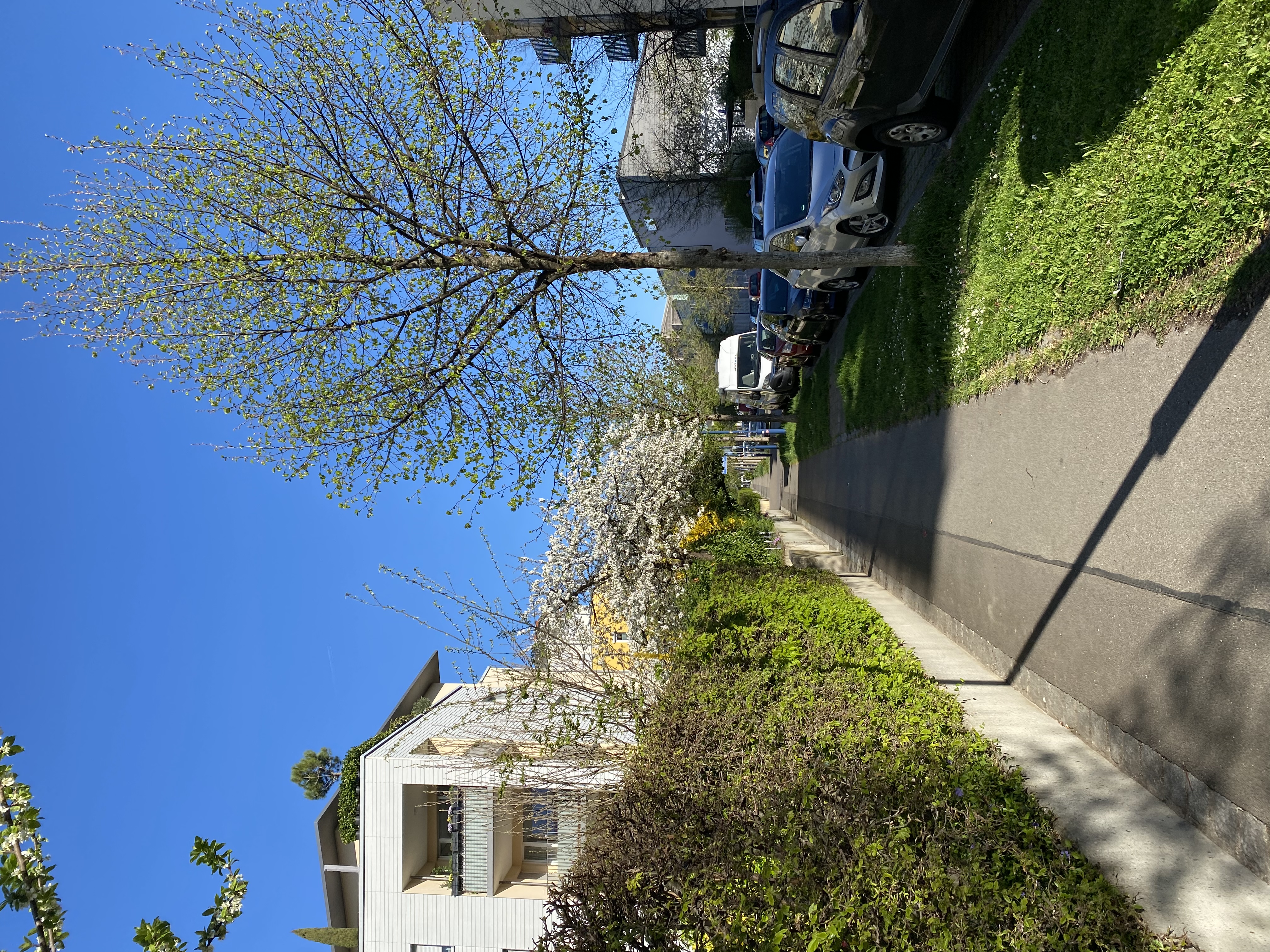 image-14