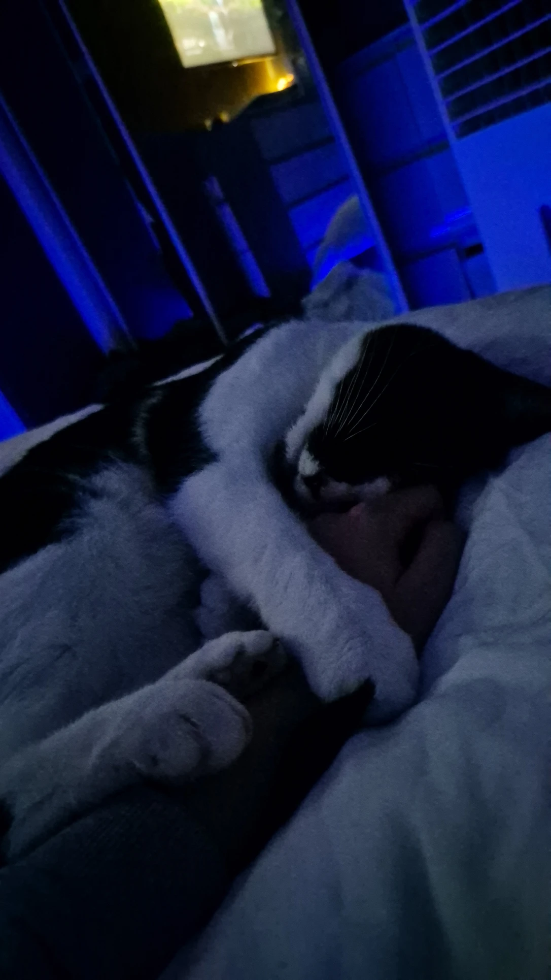 image-6