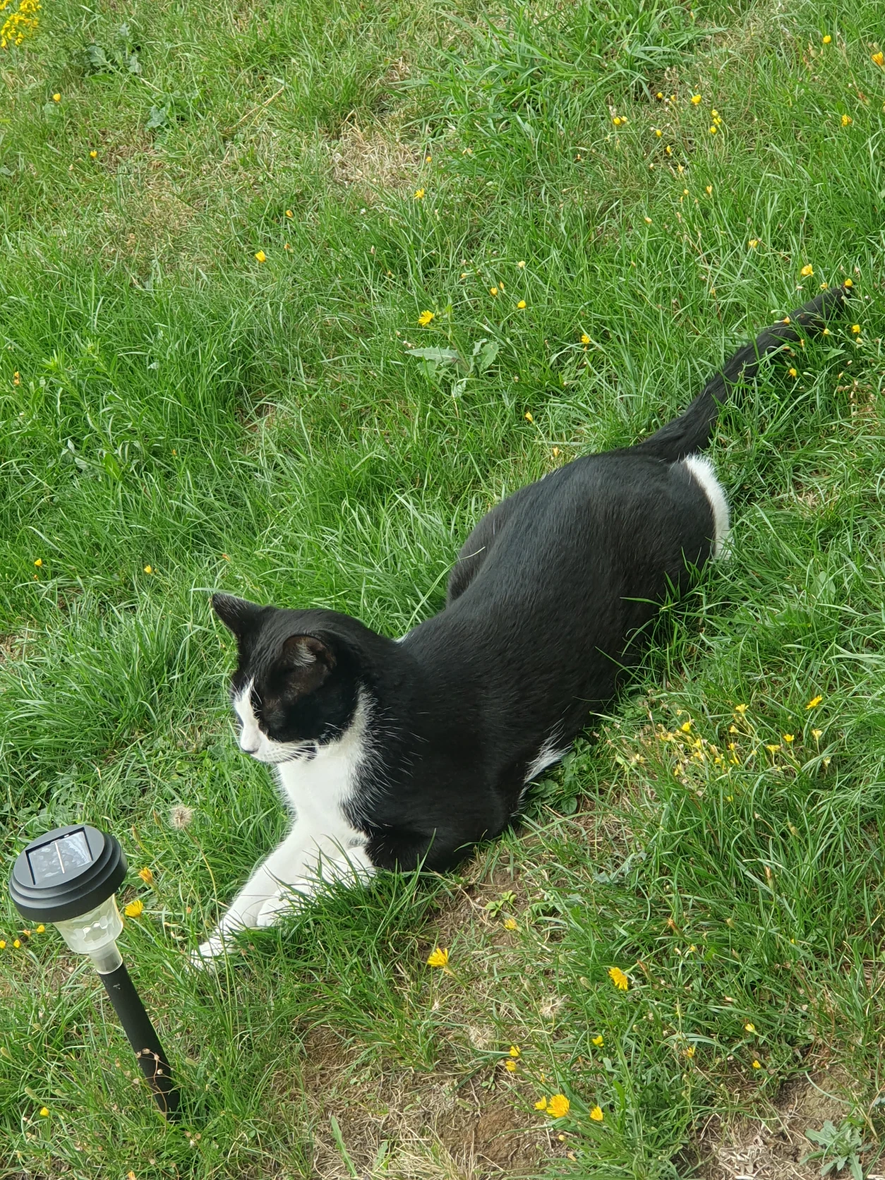 image-8