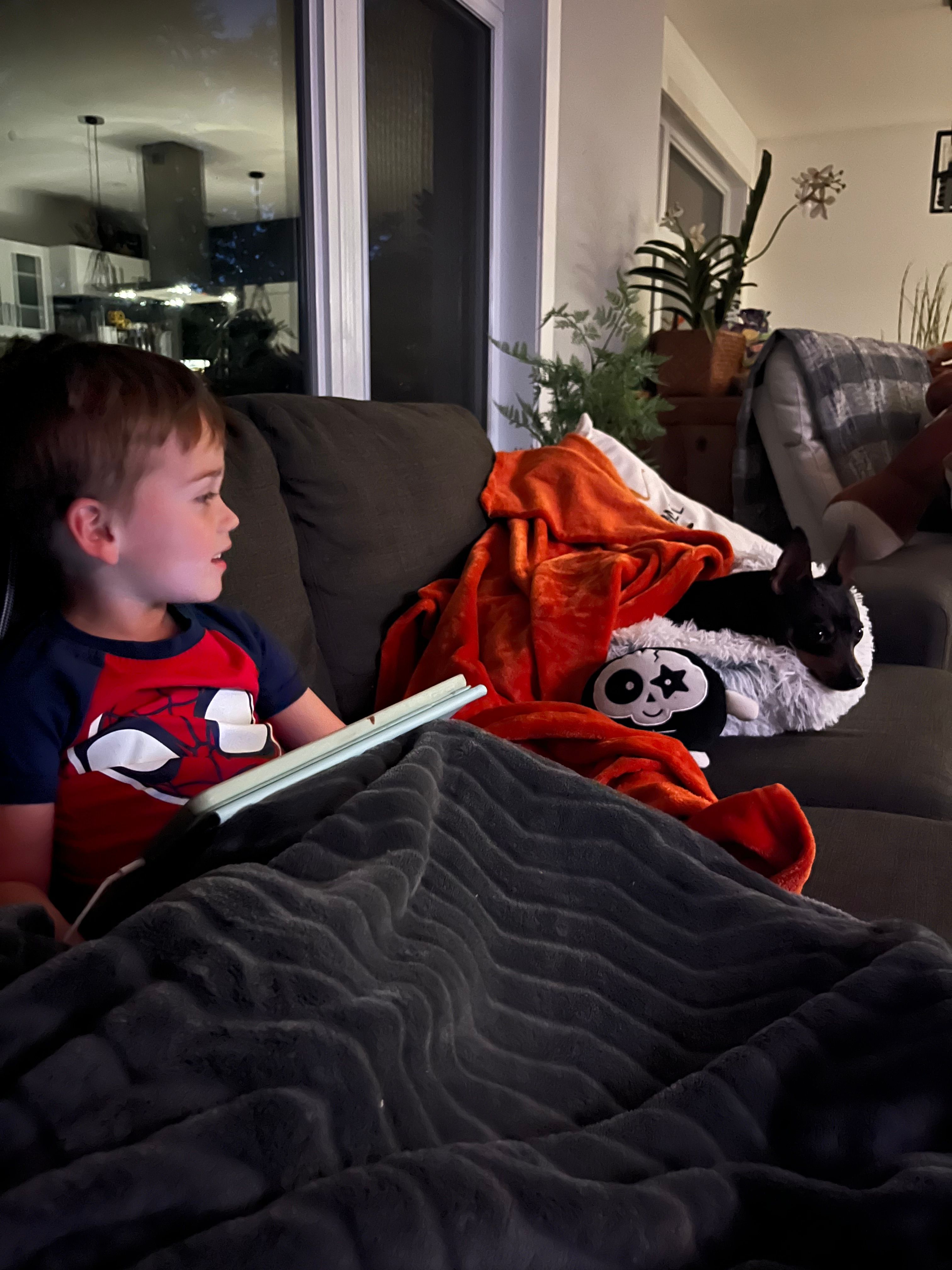 image-22