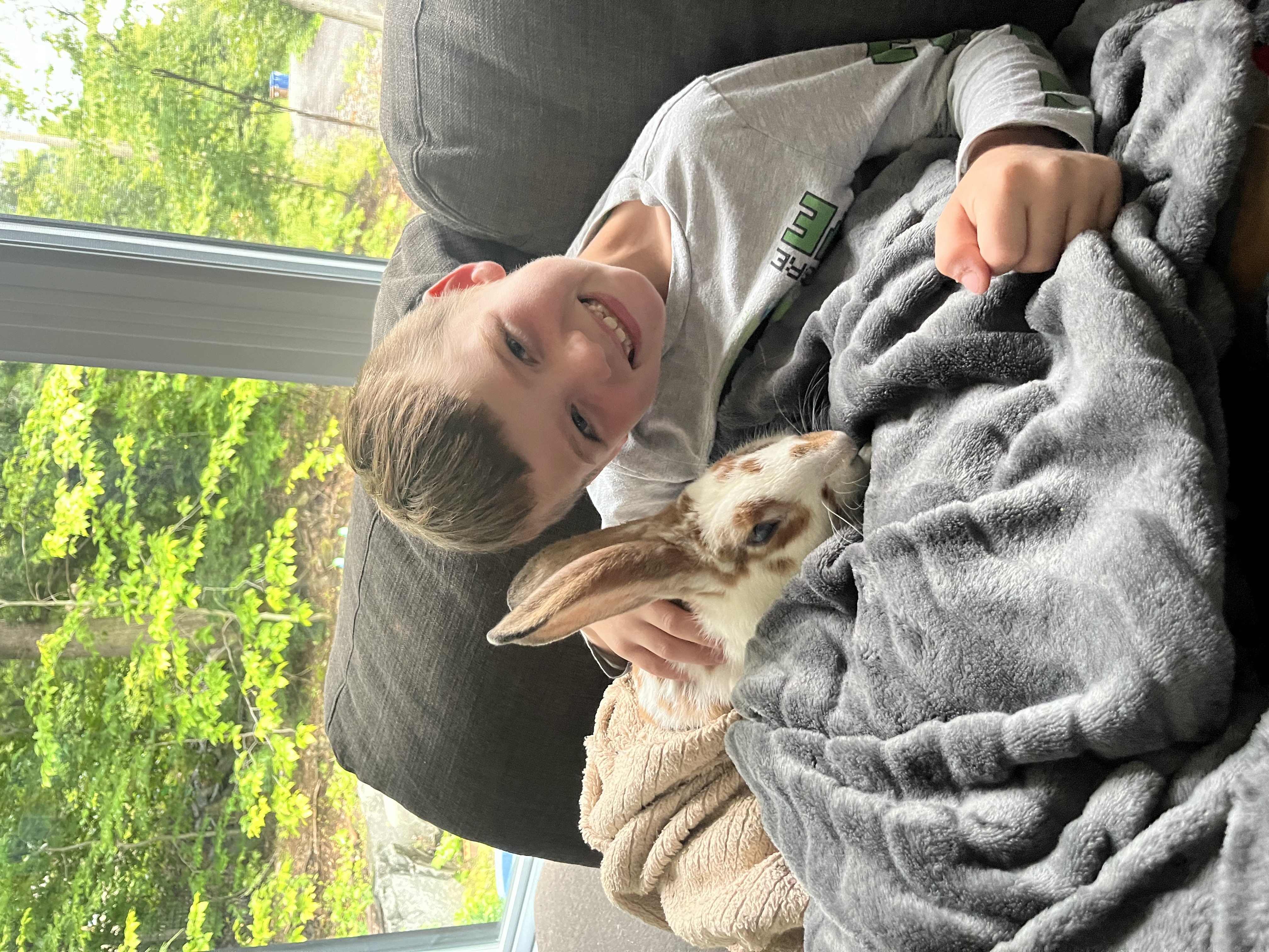 image-15
