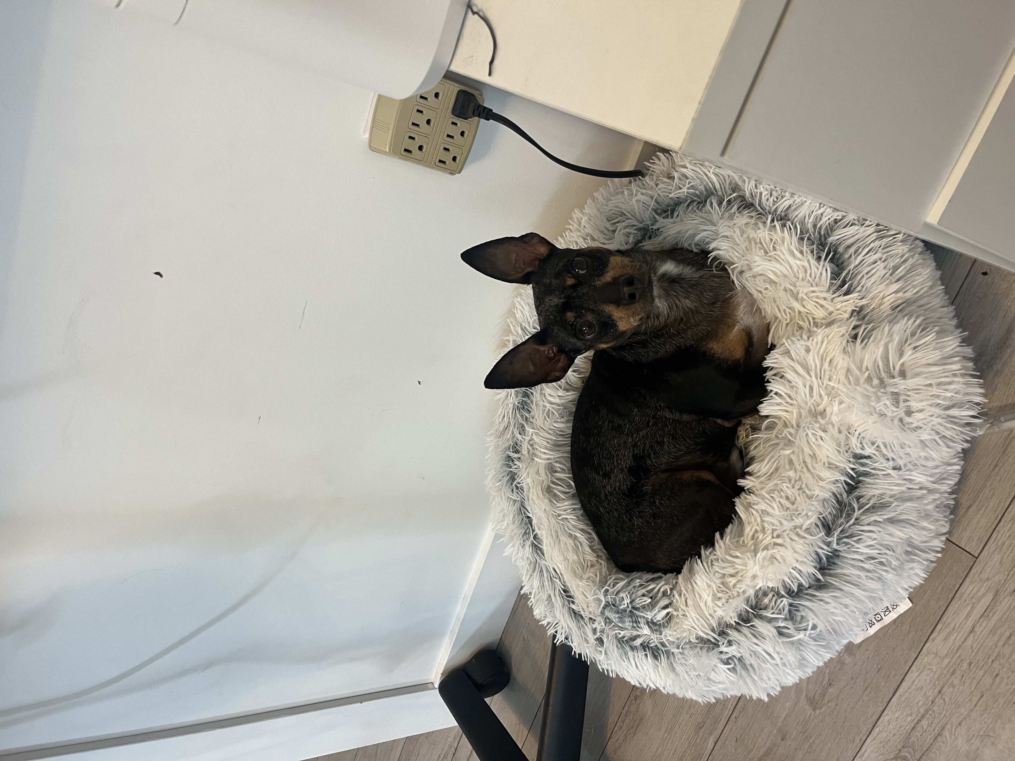 image-7