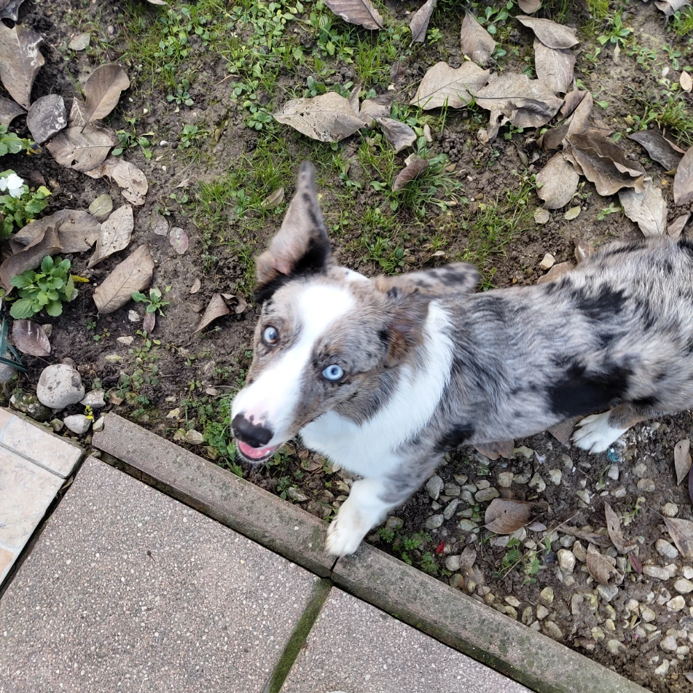 Luna