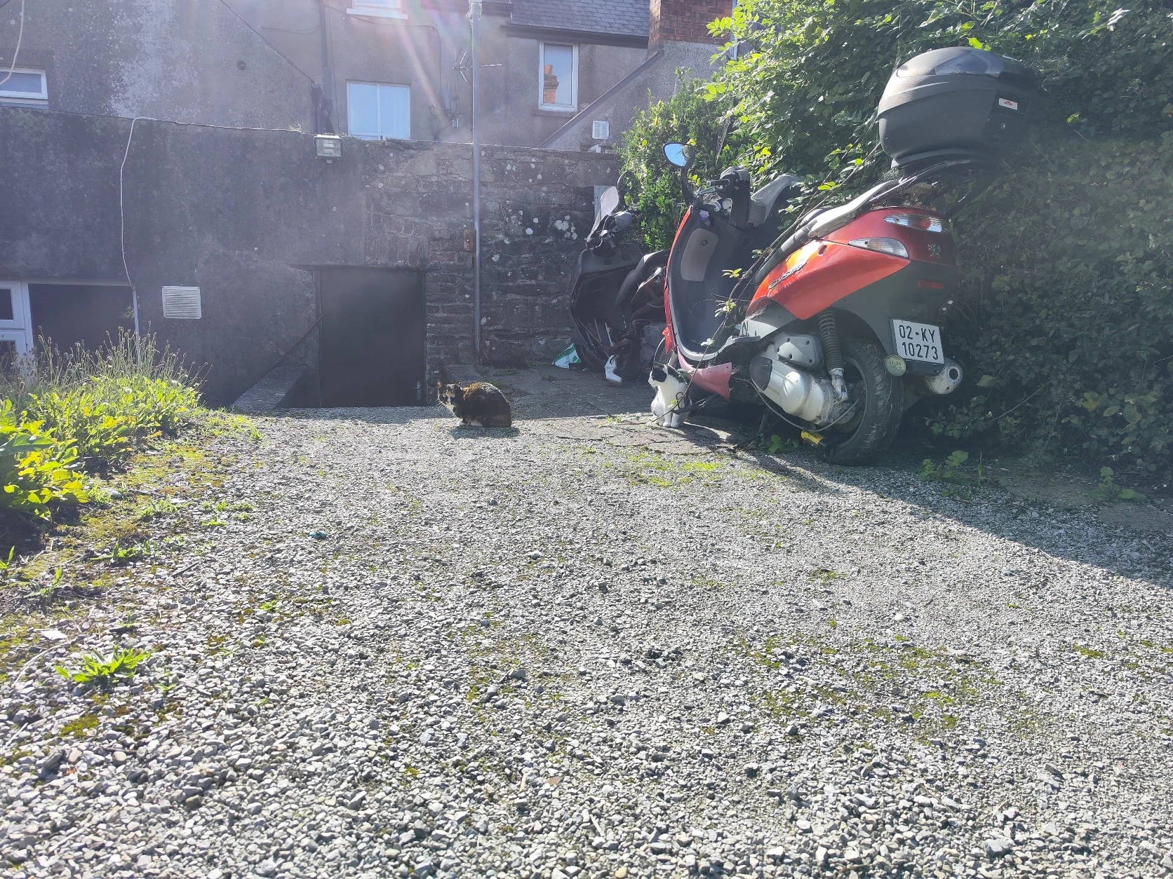 image-16