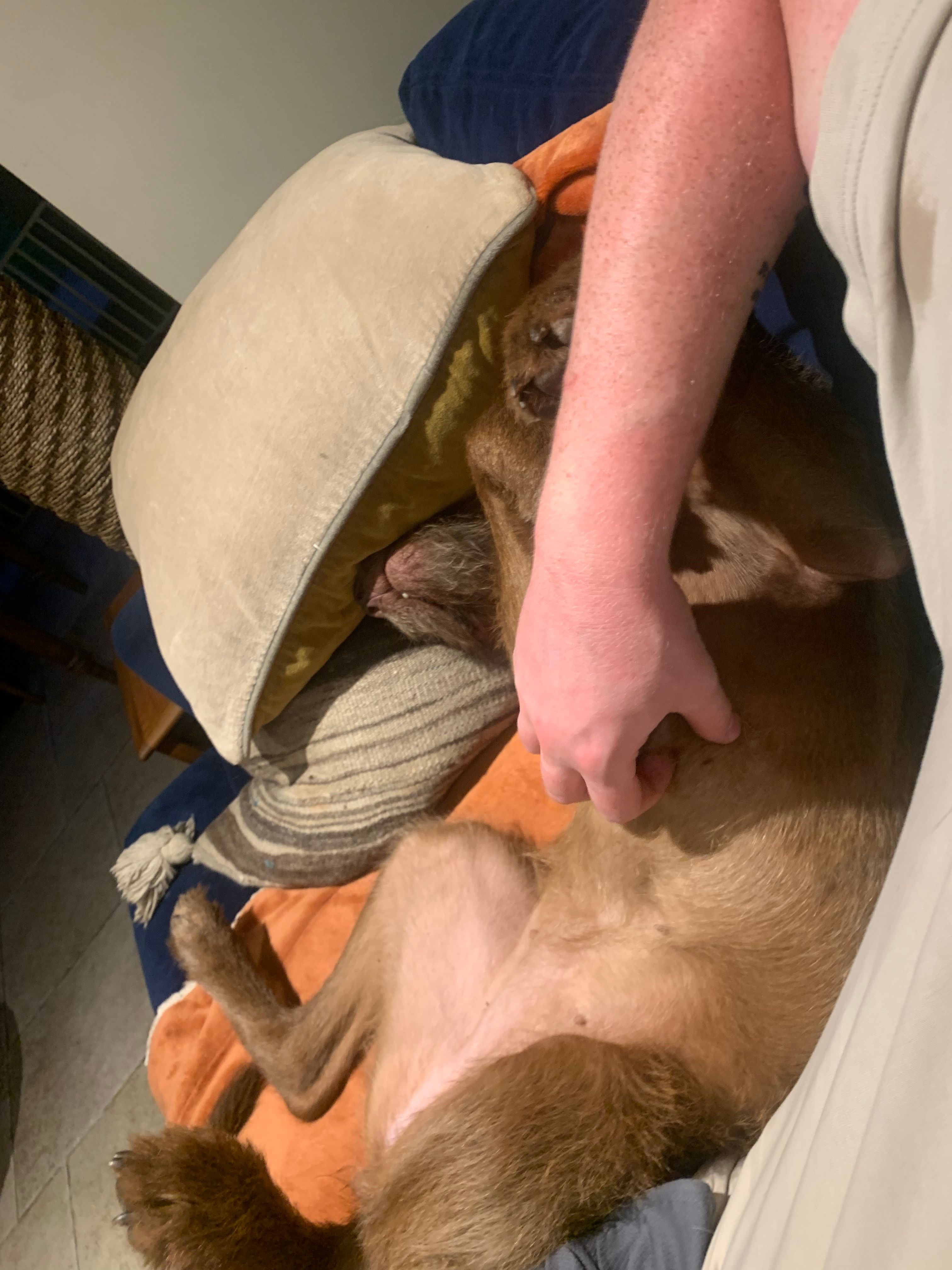image-7