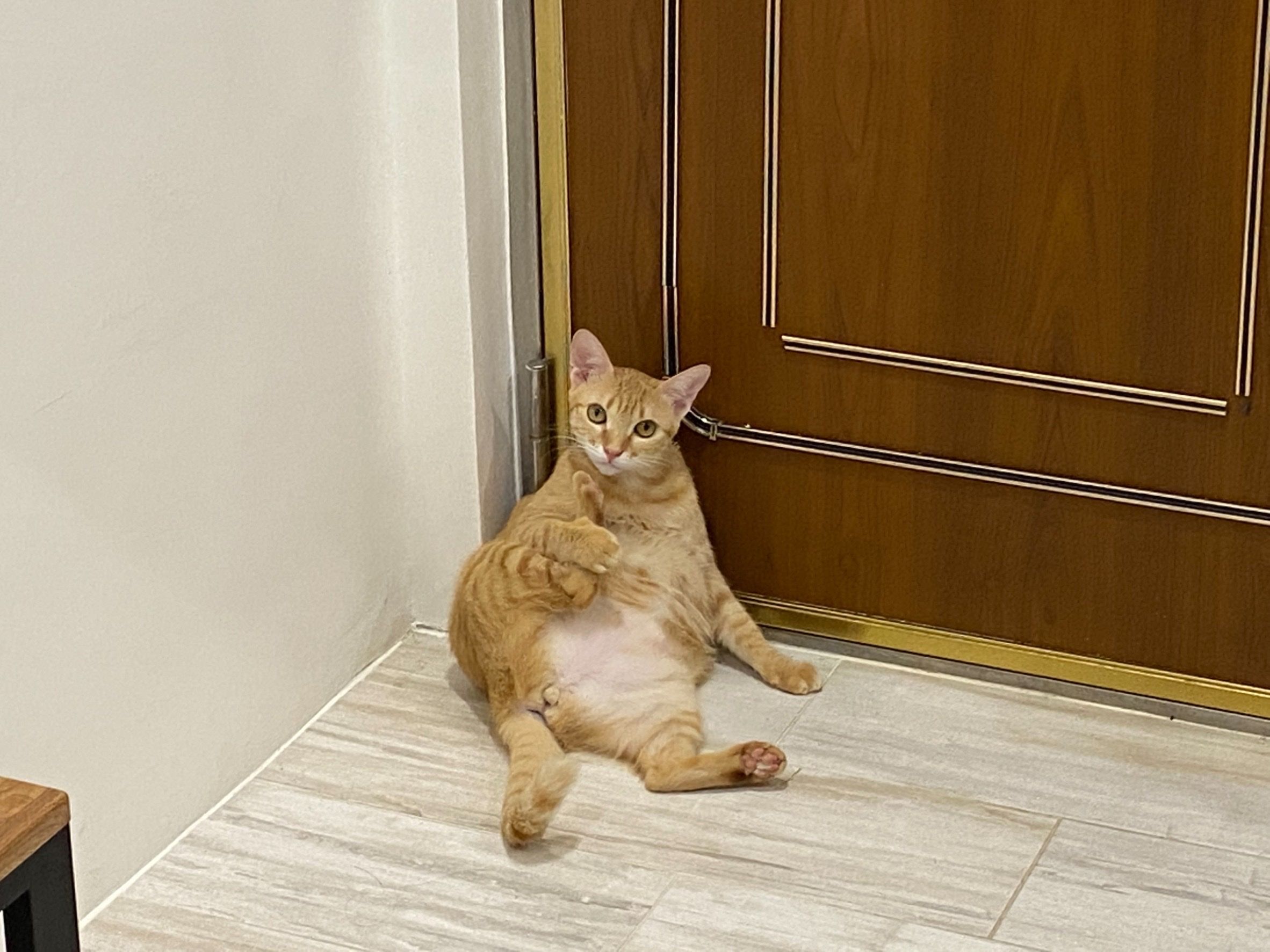 image-9