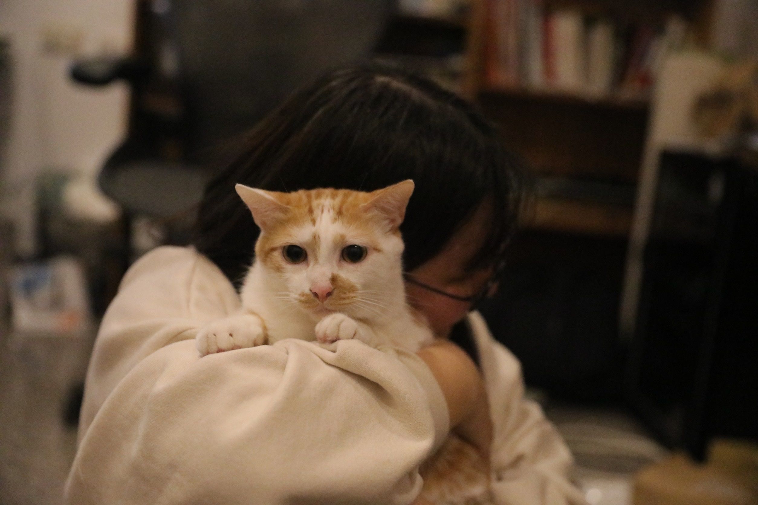 image-20