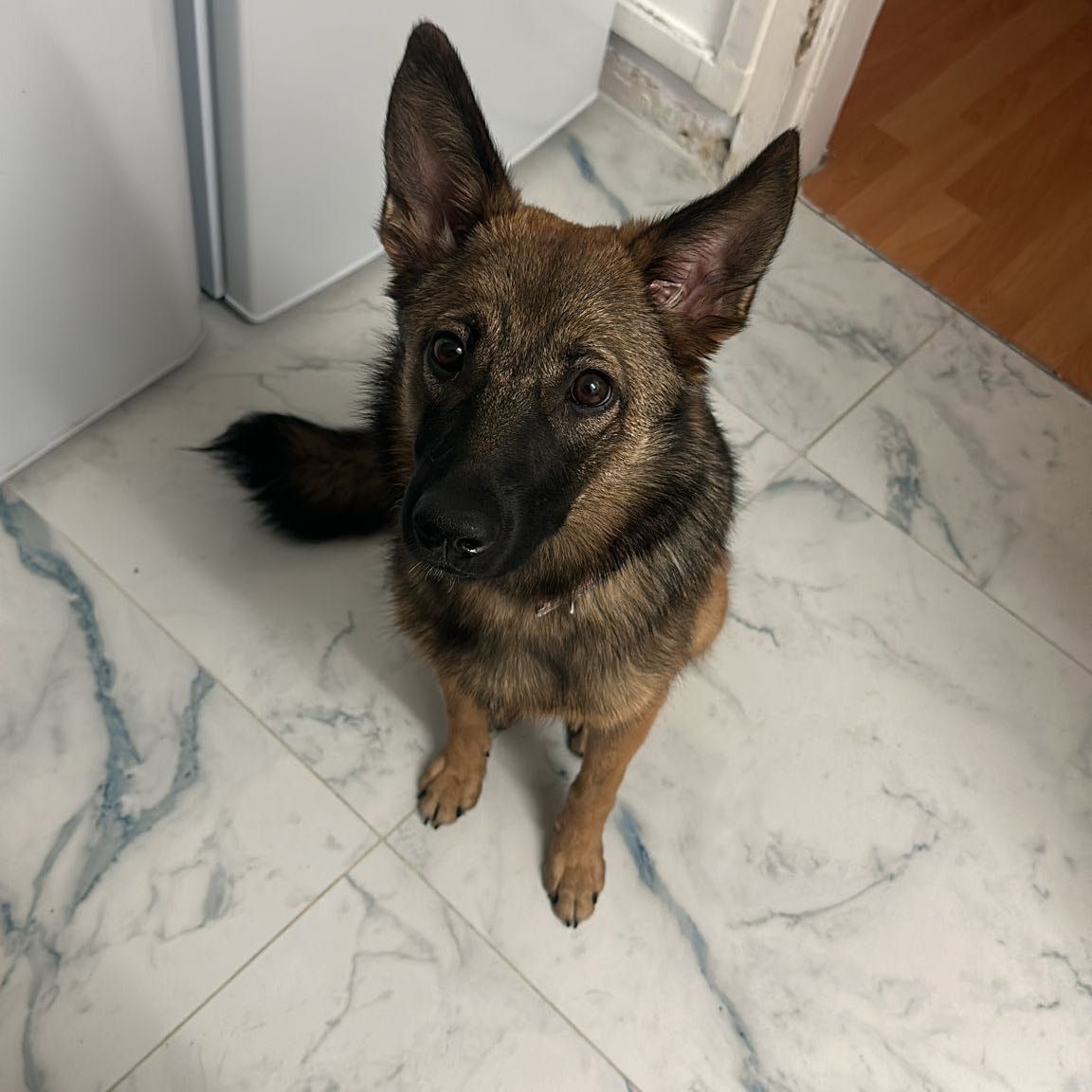 Frida