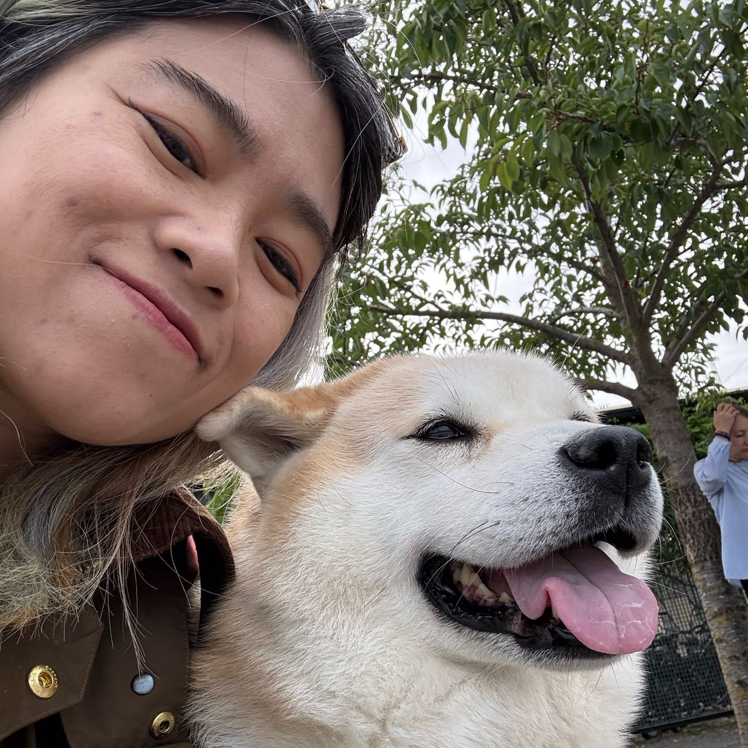Sijie