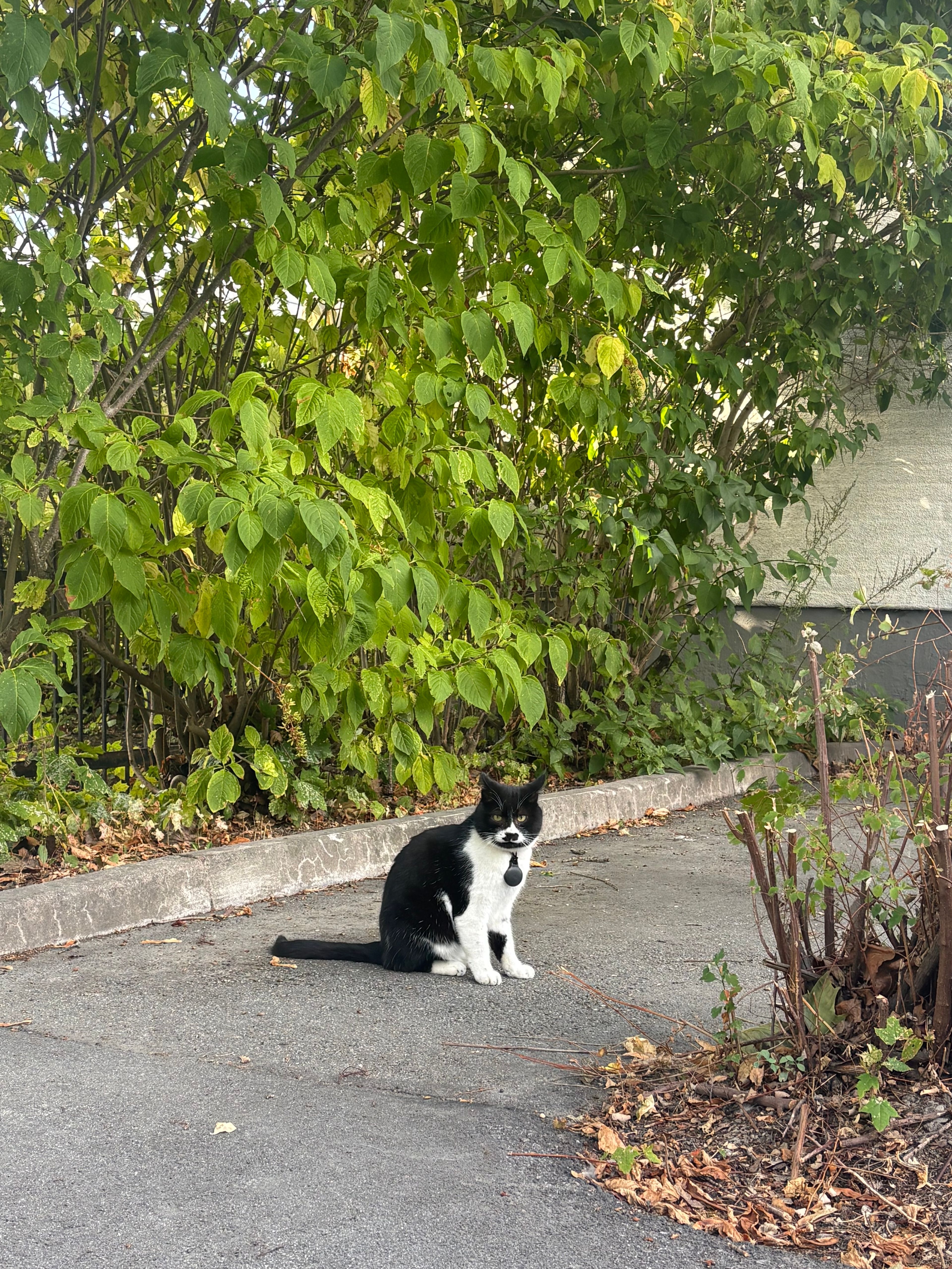 image-8