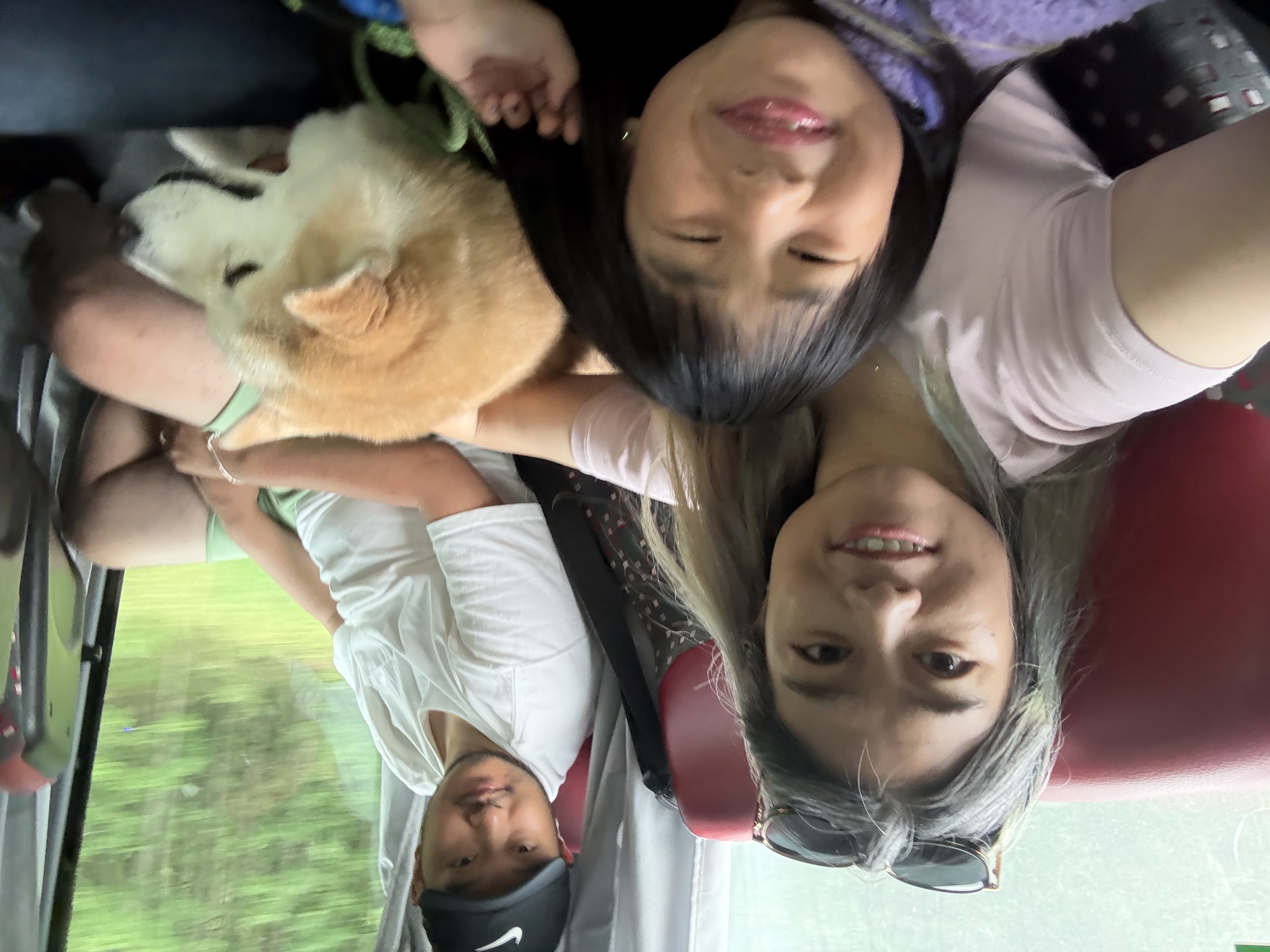 image-2