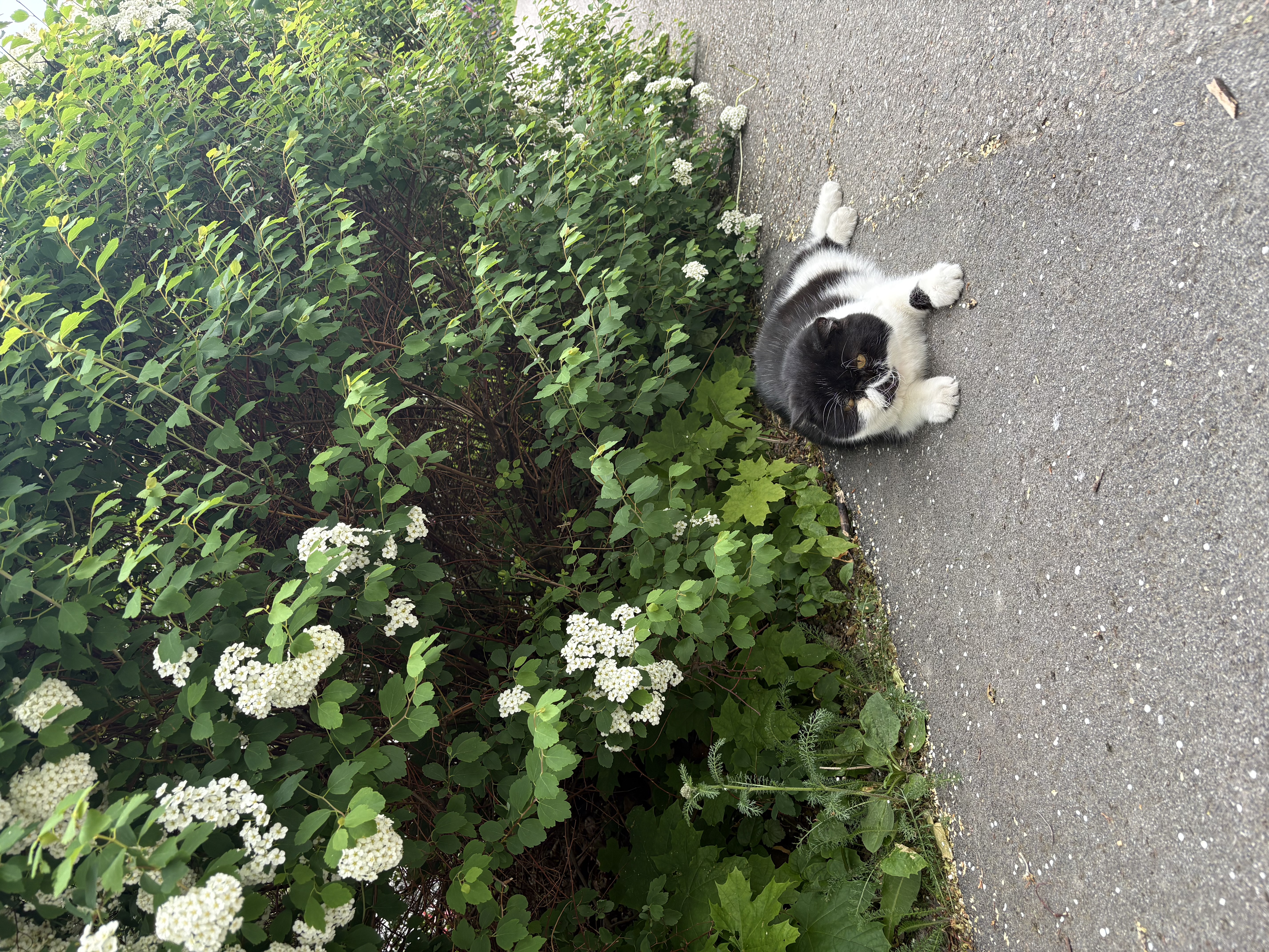 image-6