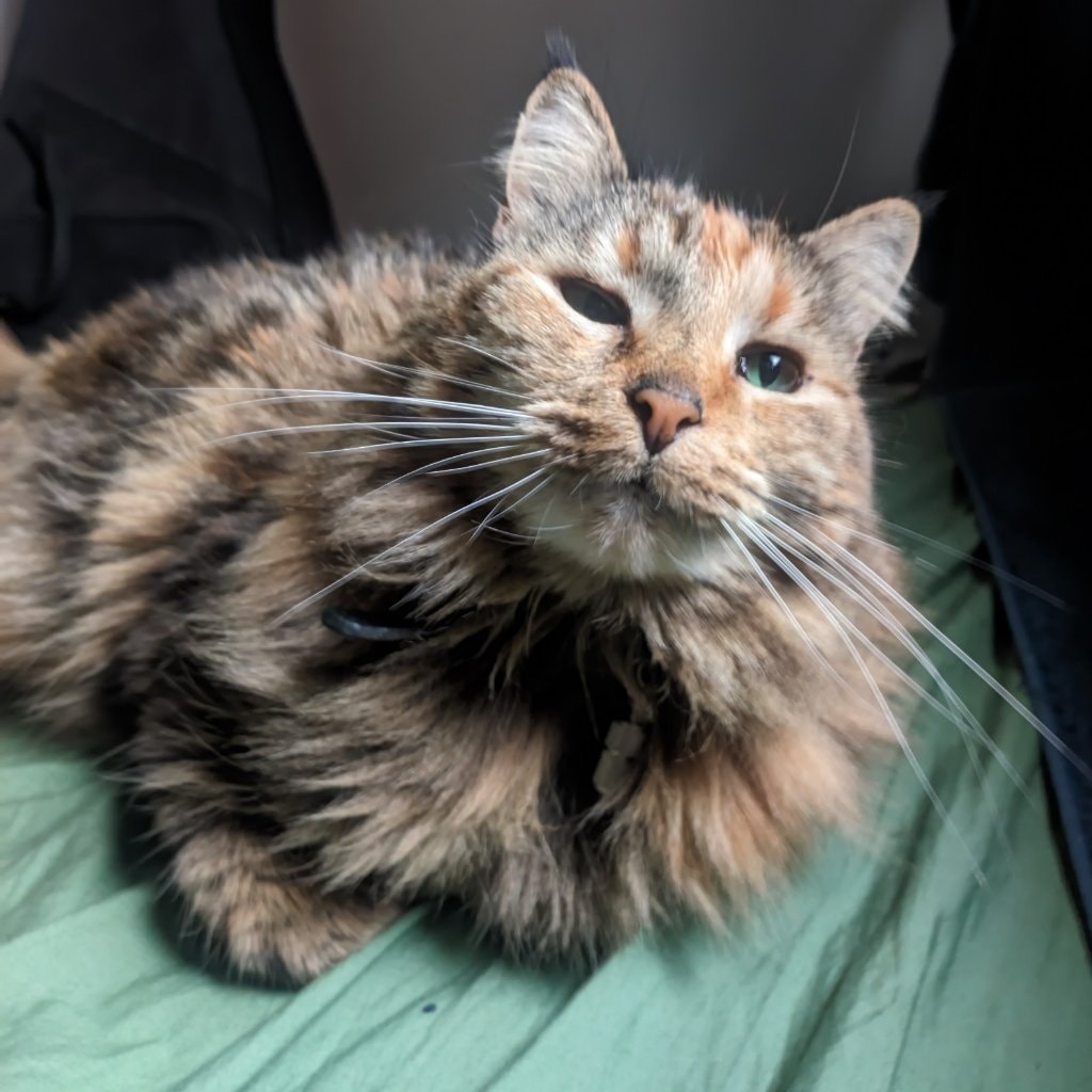 Nina