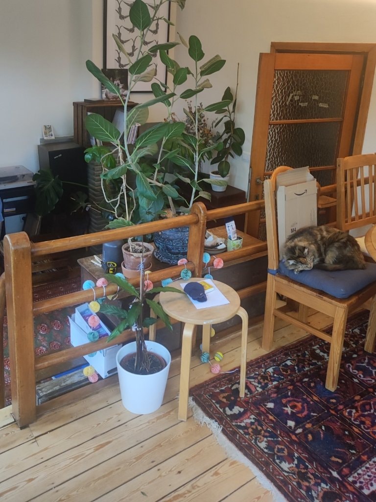 image-5