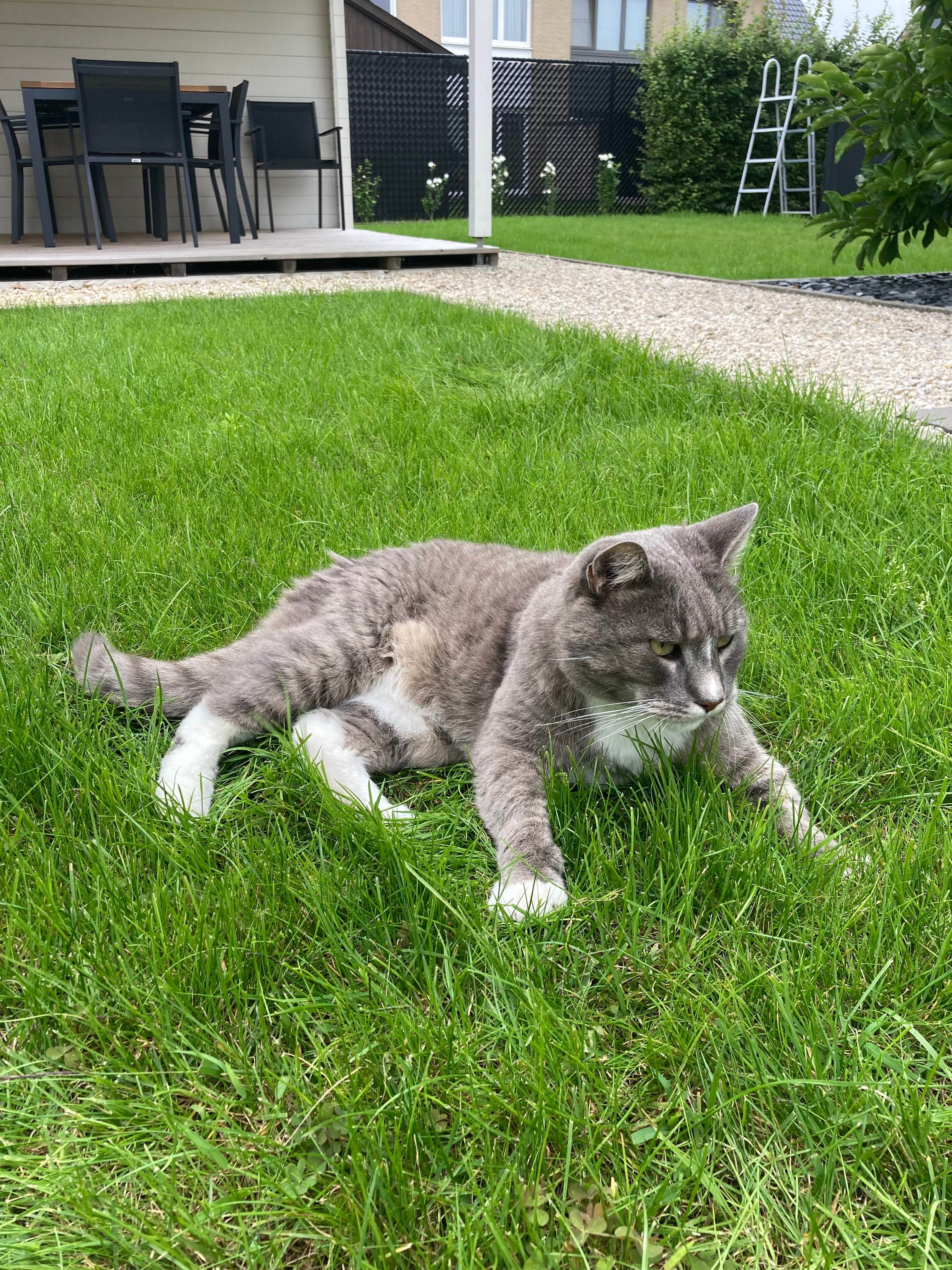 image-6