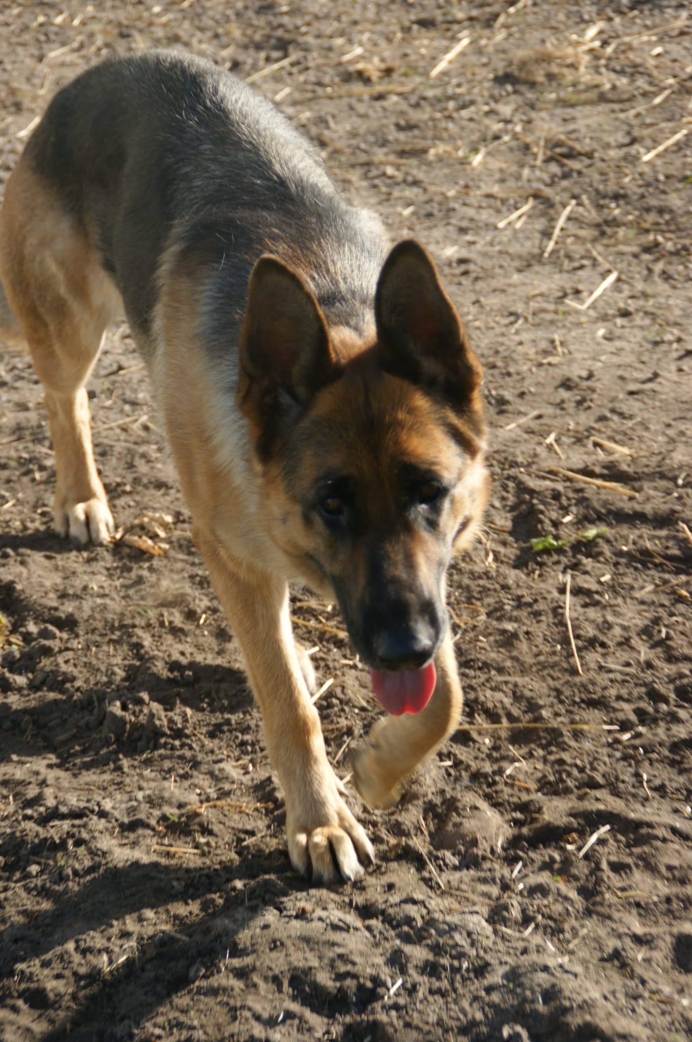 image-9