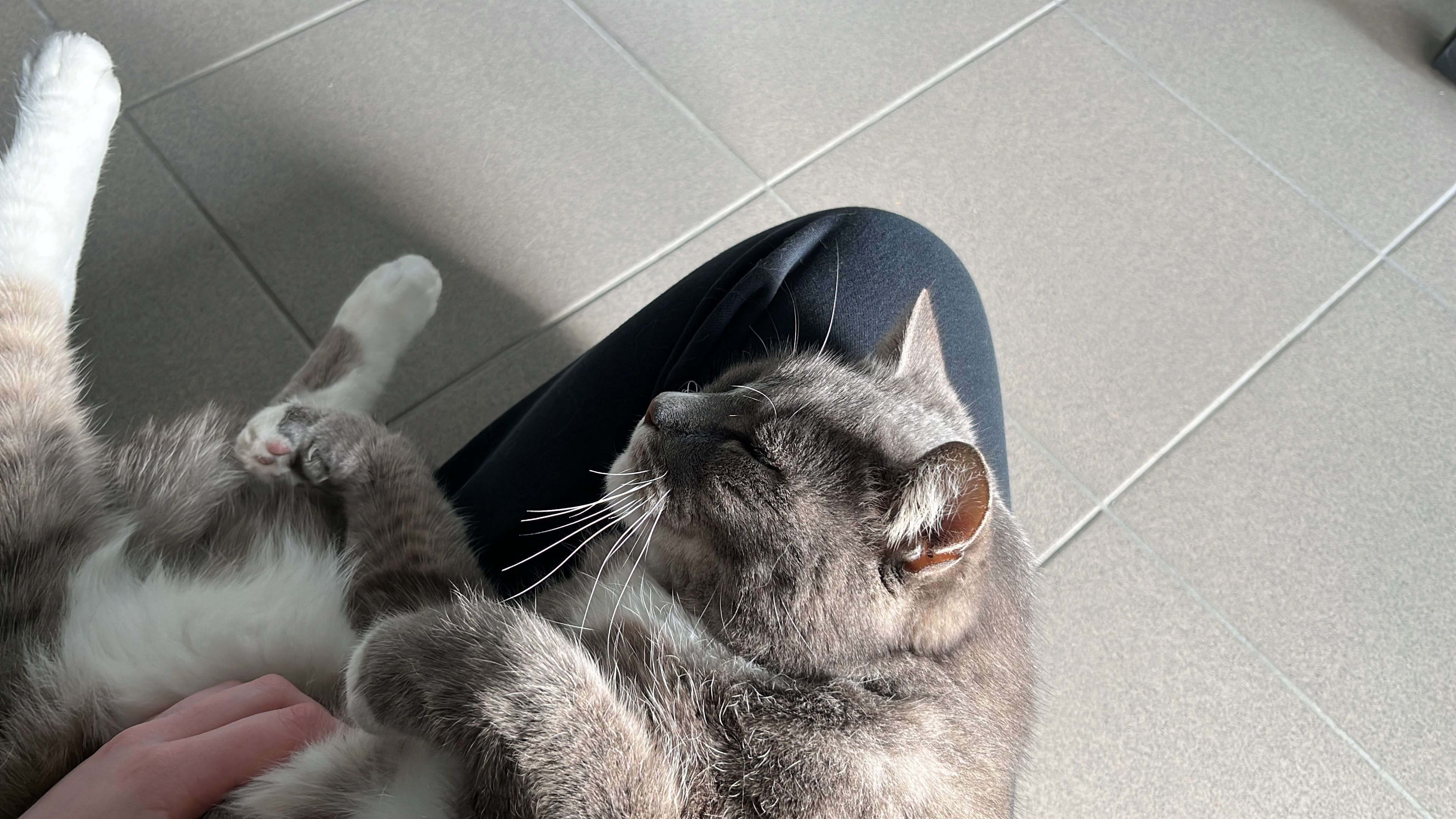 image-8