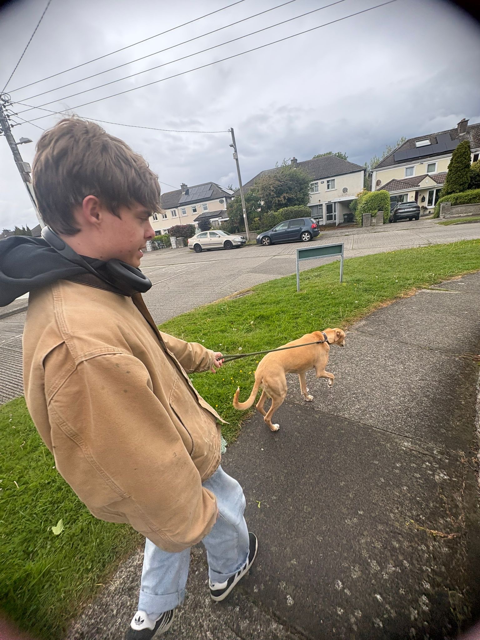 image-13