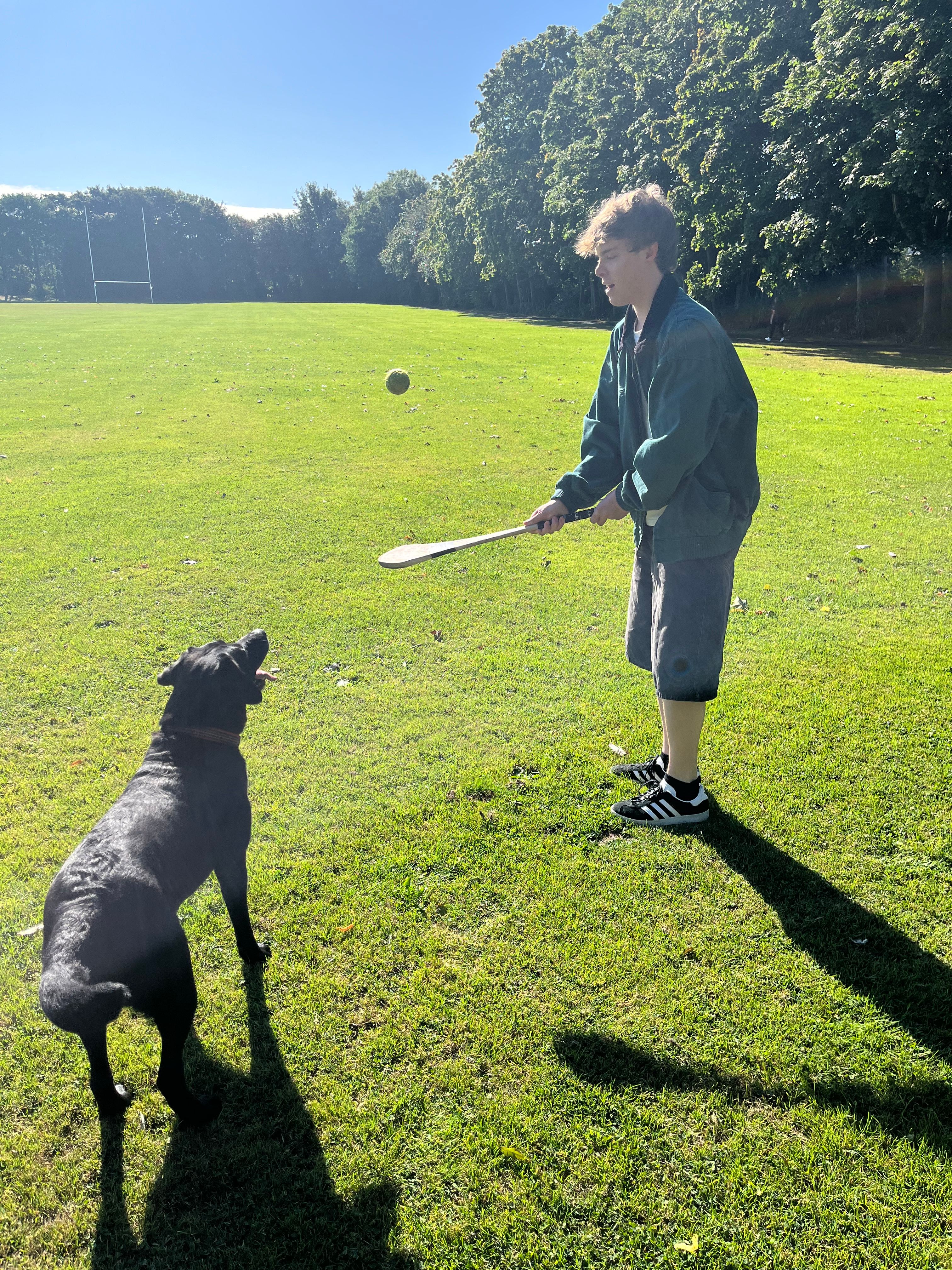 image-5