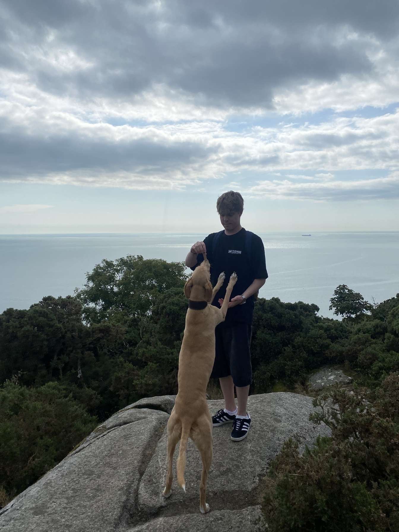 image-9