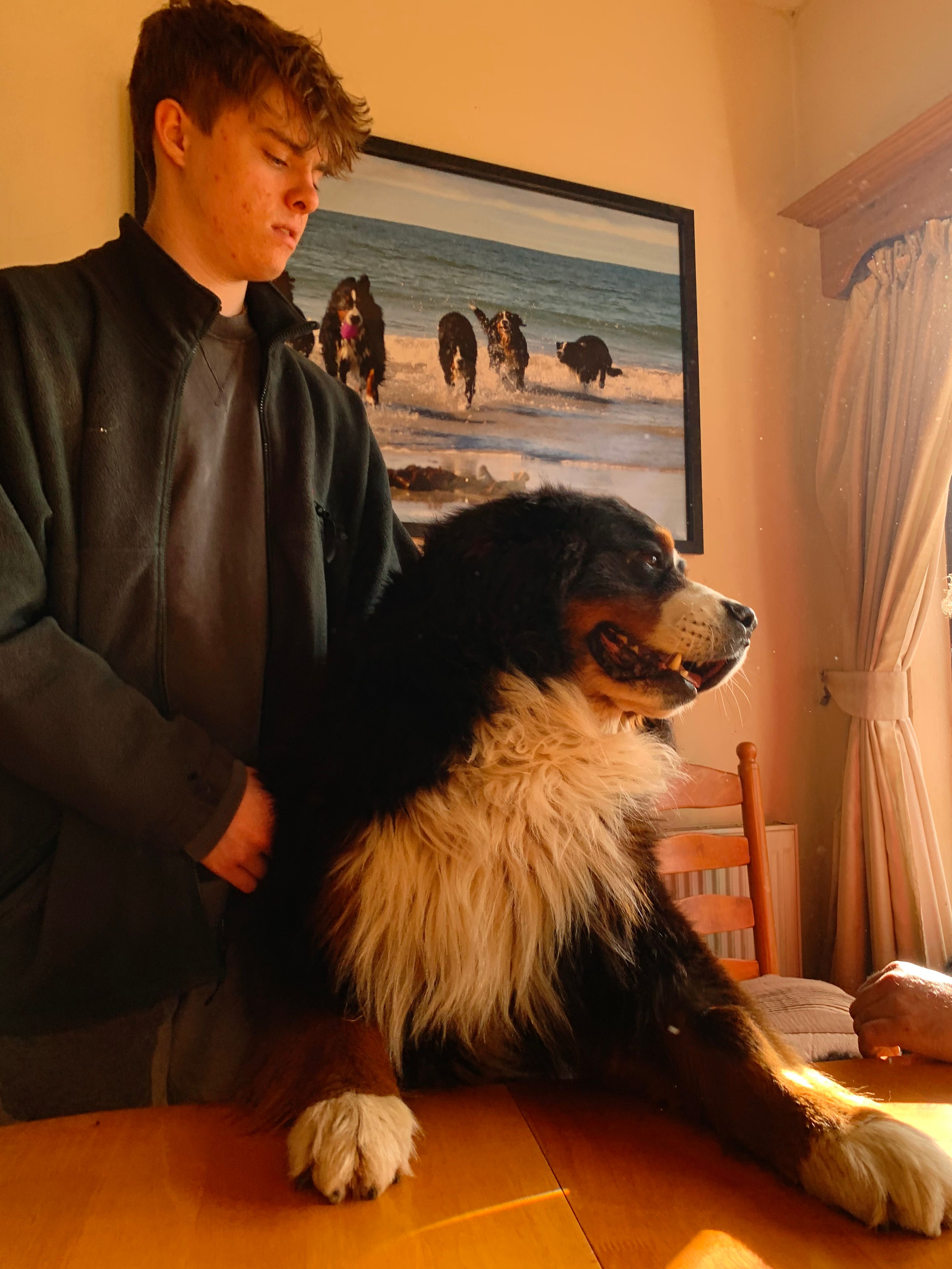 image-6