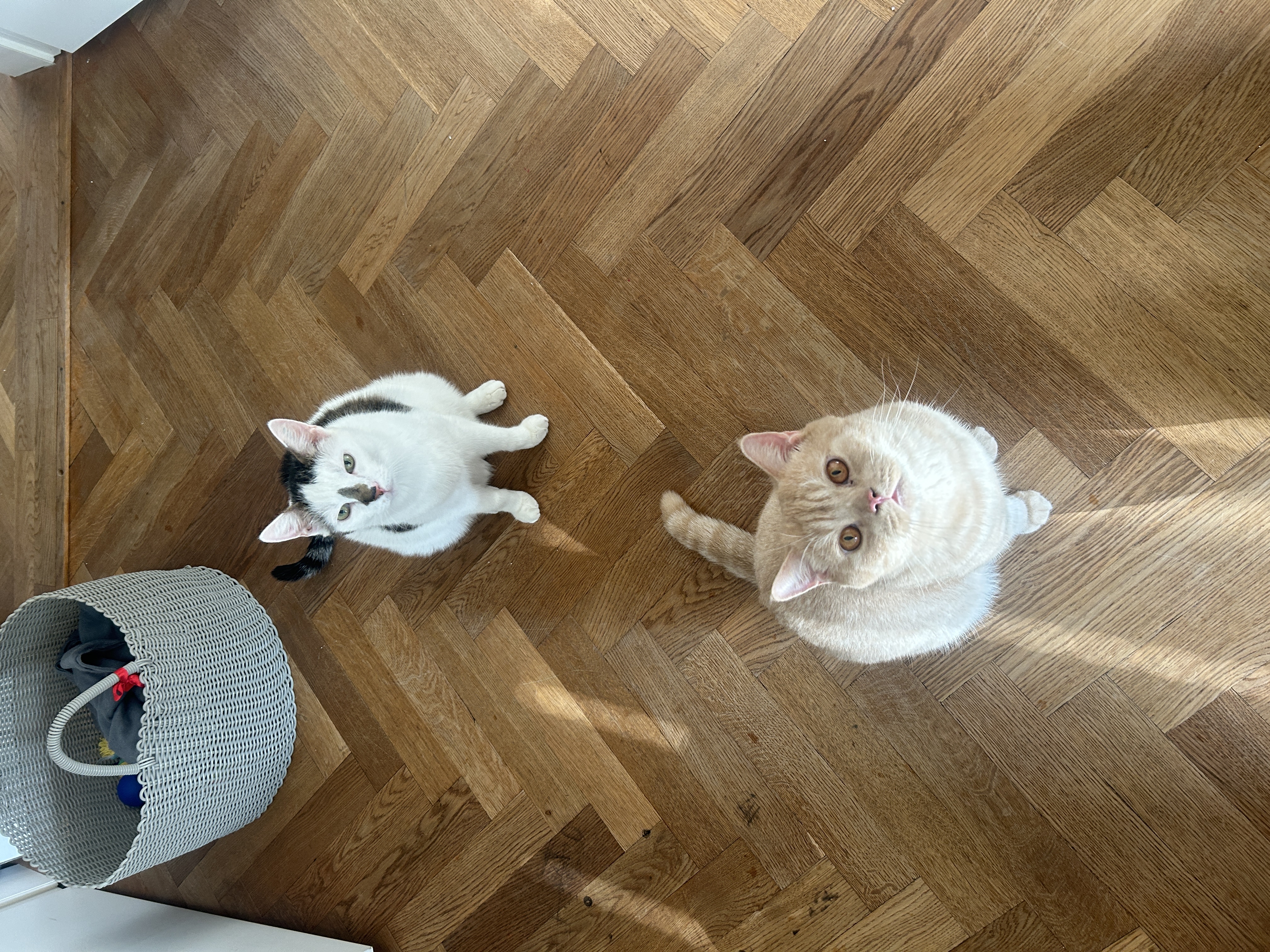 image-34