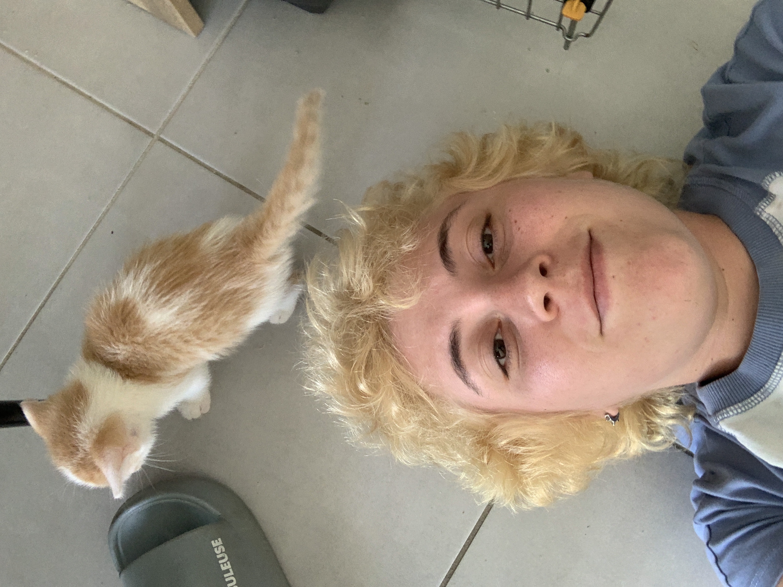 image-7