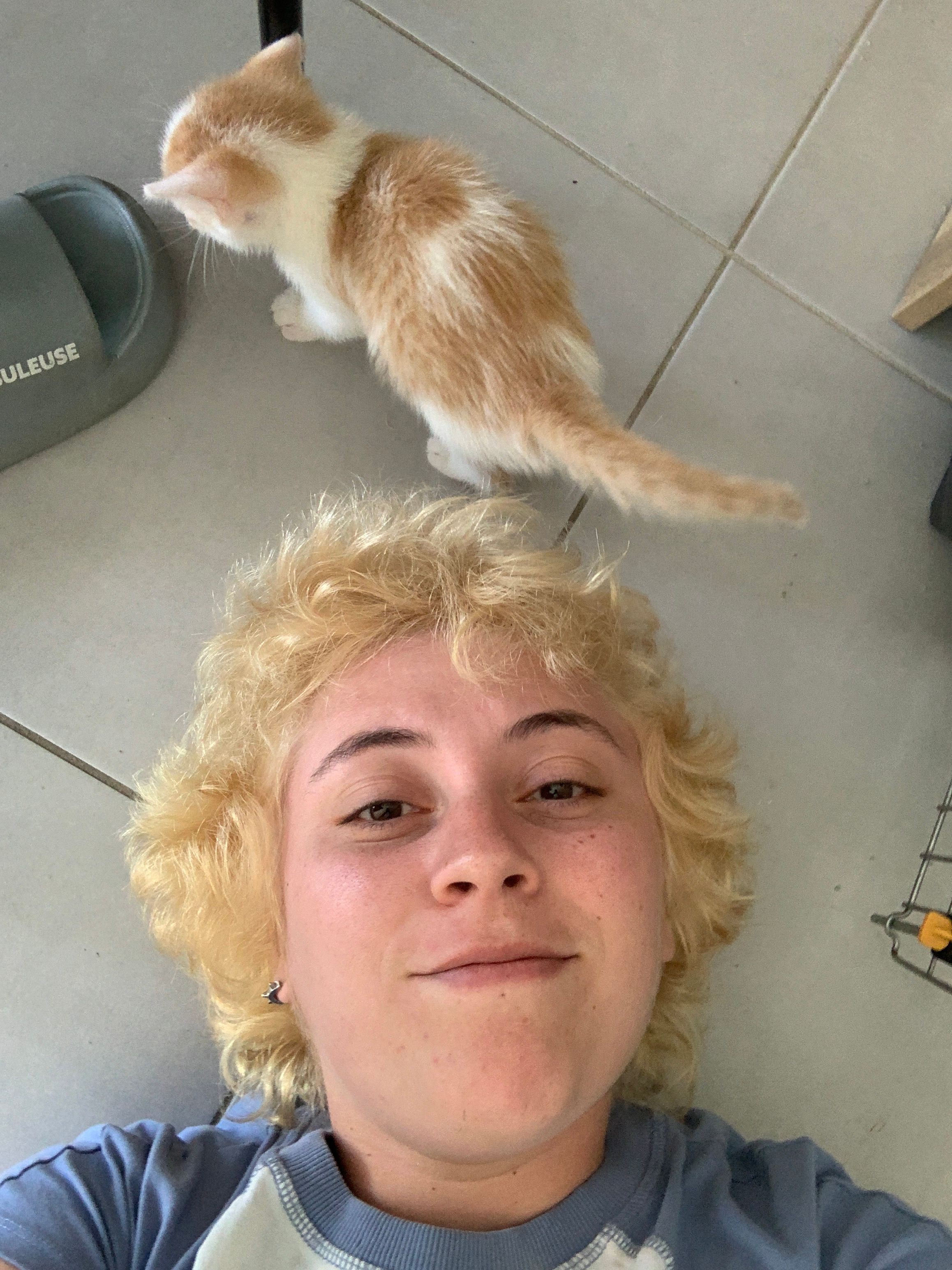 image-7
