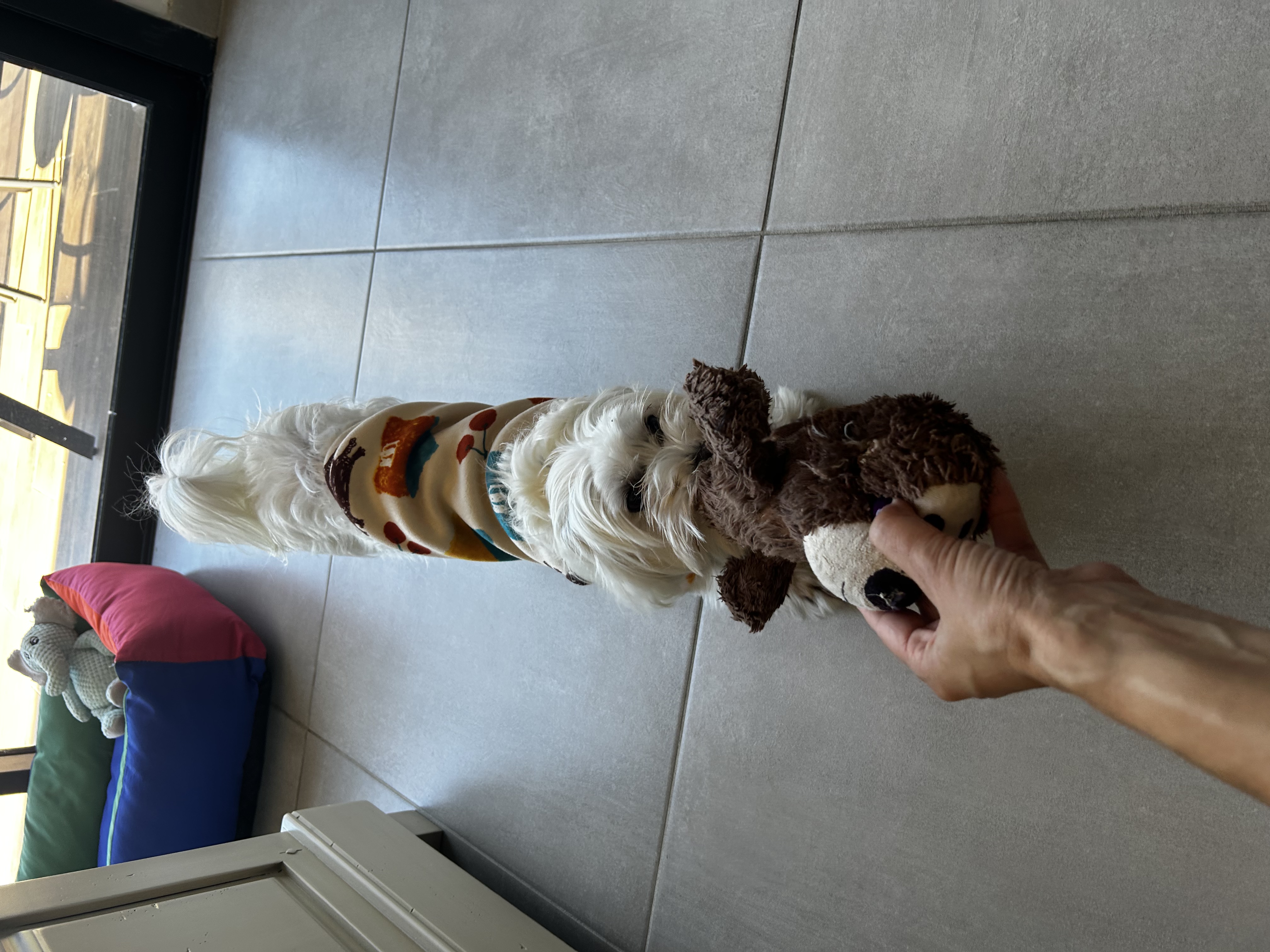 image-4