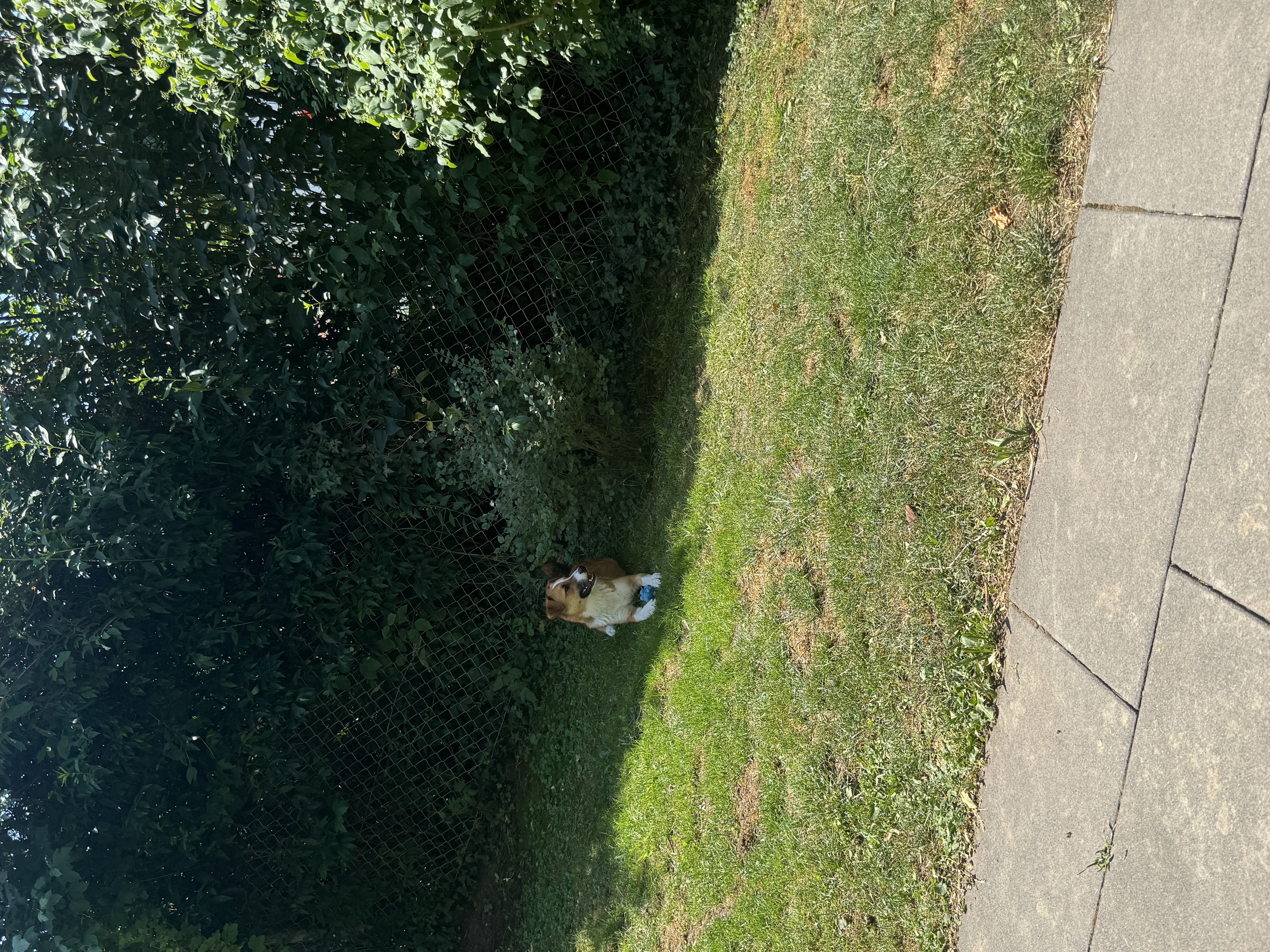 image-14