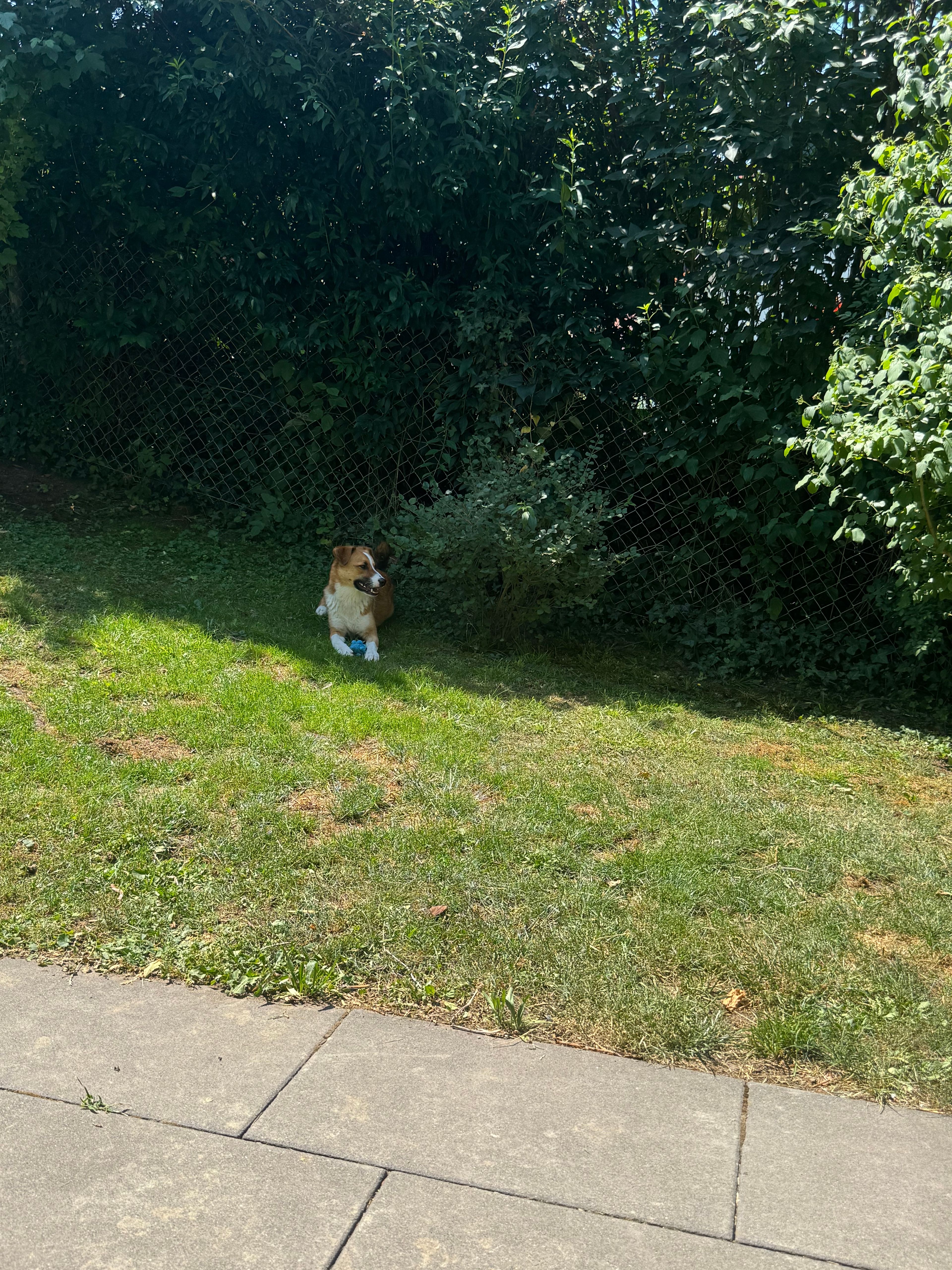 image-14