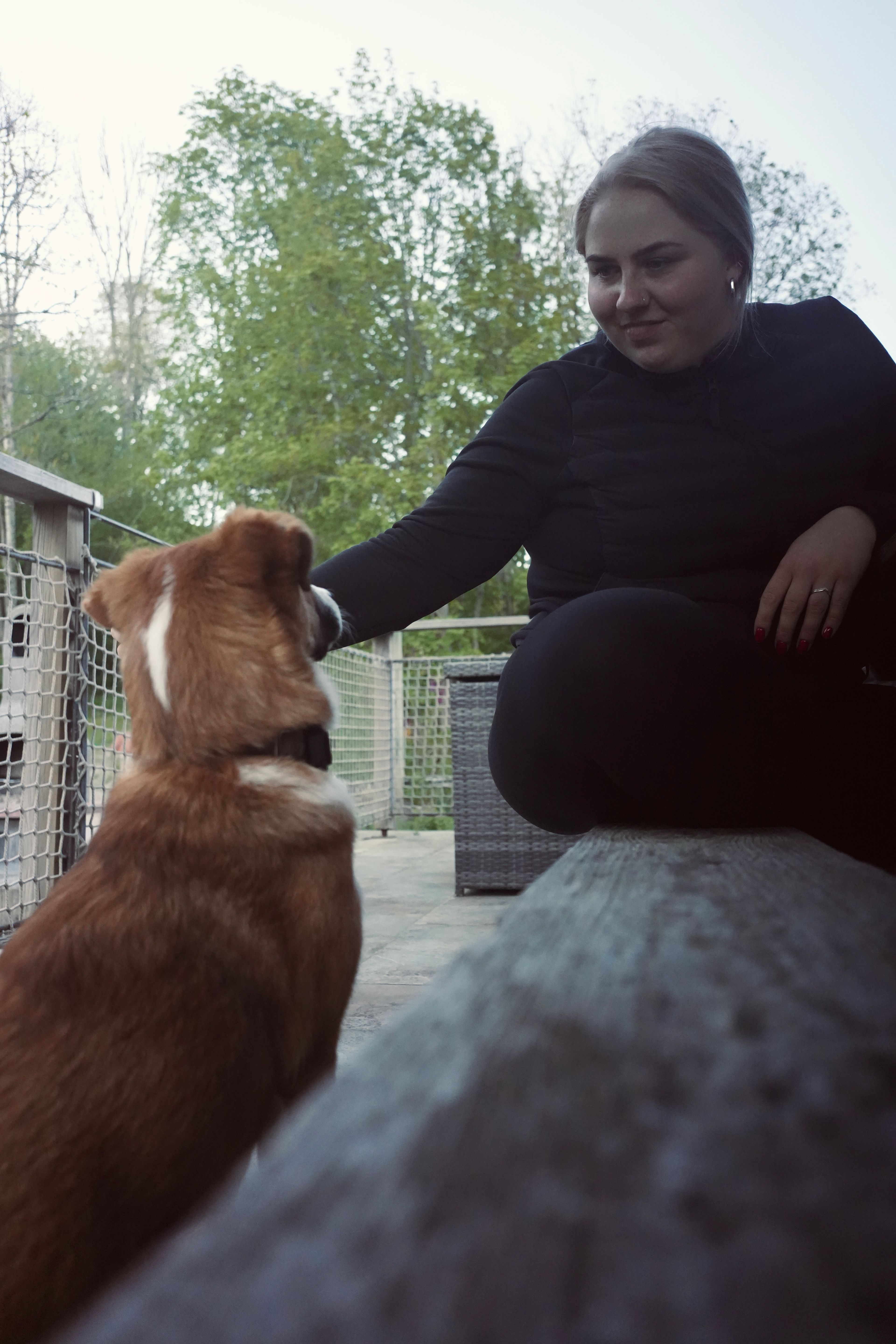 image-6