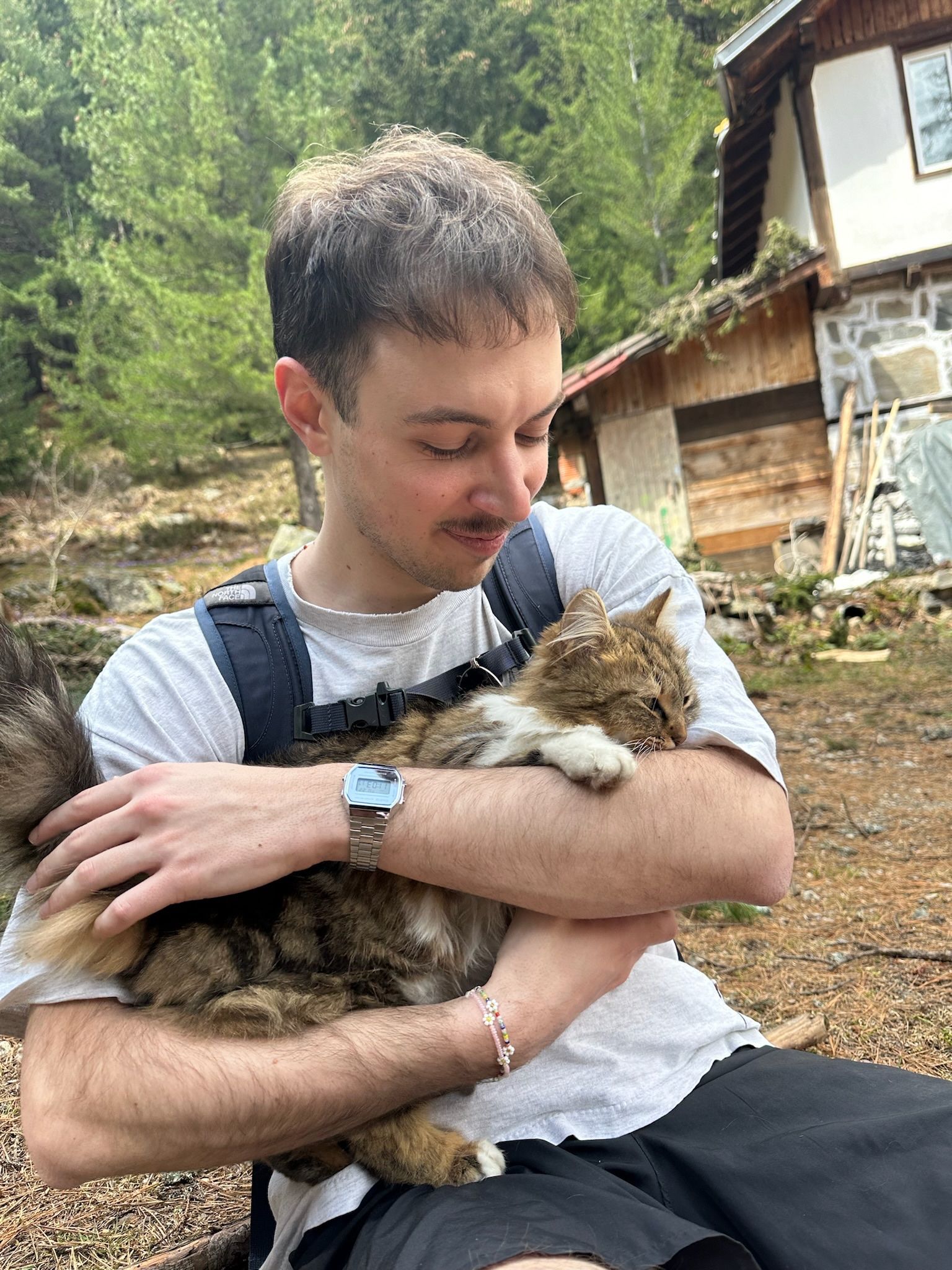 image-7